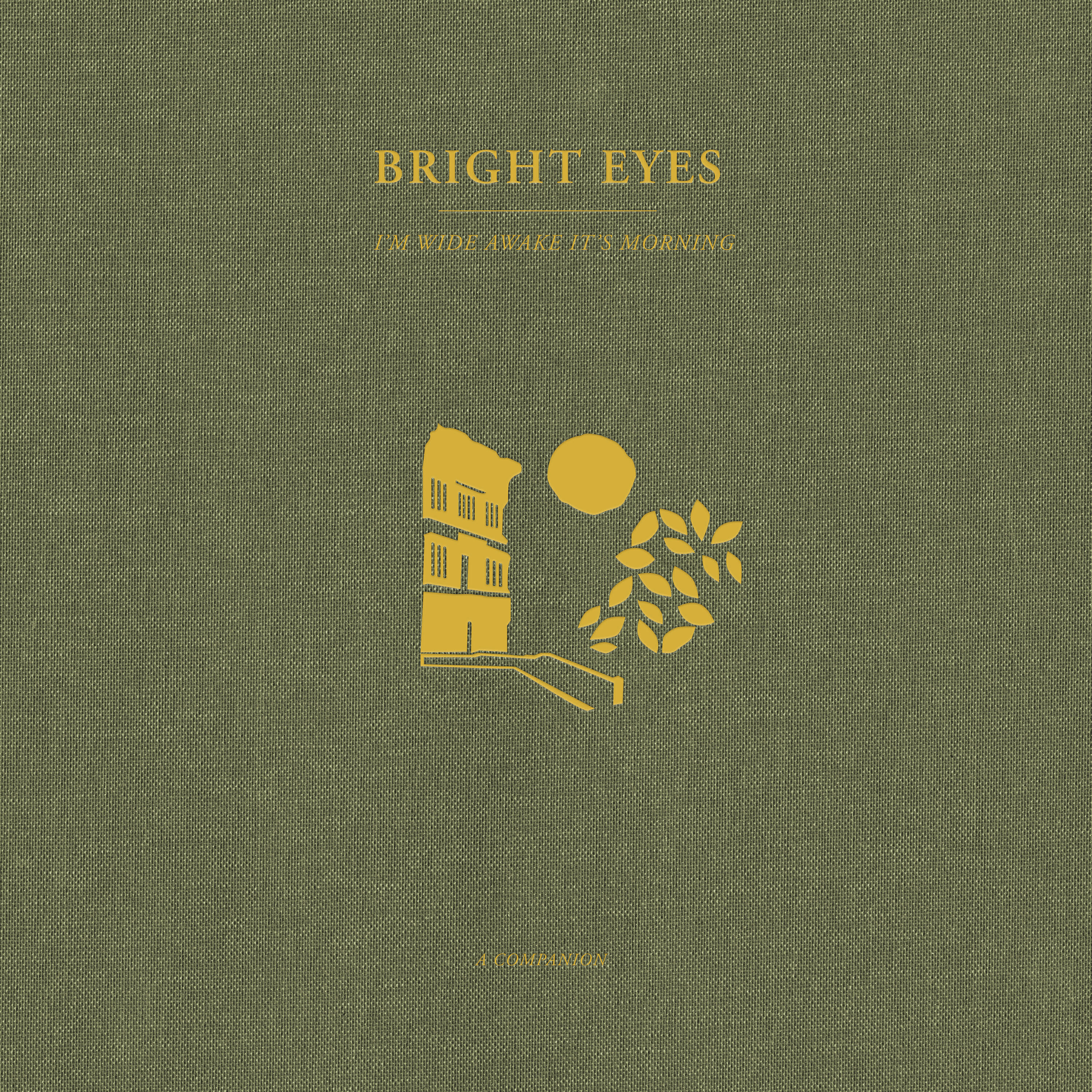 Релиз I'm Wide Awake, It's Morning: A Companion
