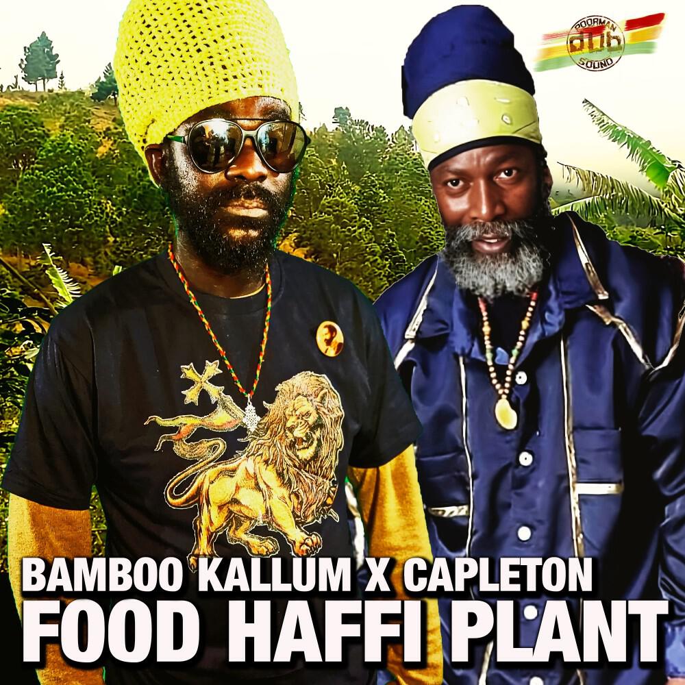 Релиз Food Haffi Plant