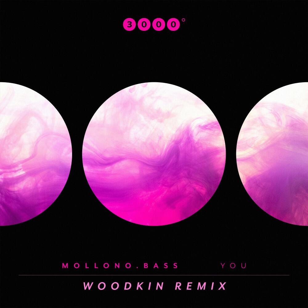 Релиз You (Woodkin Remix)