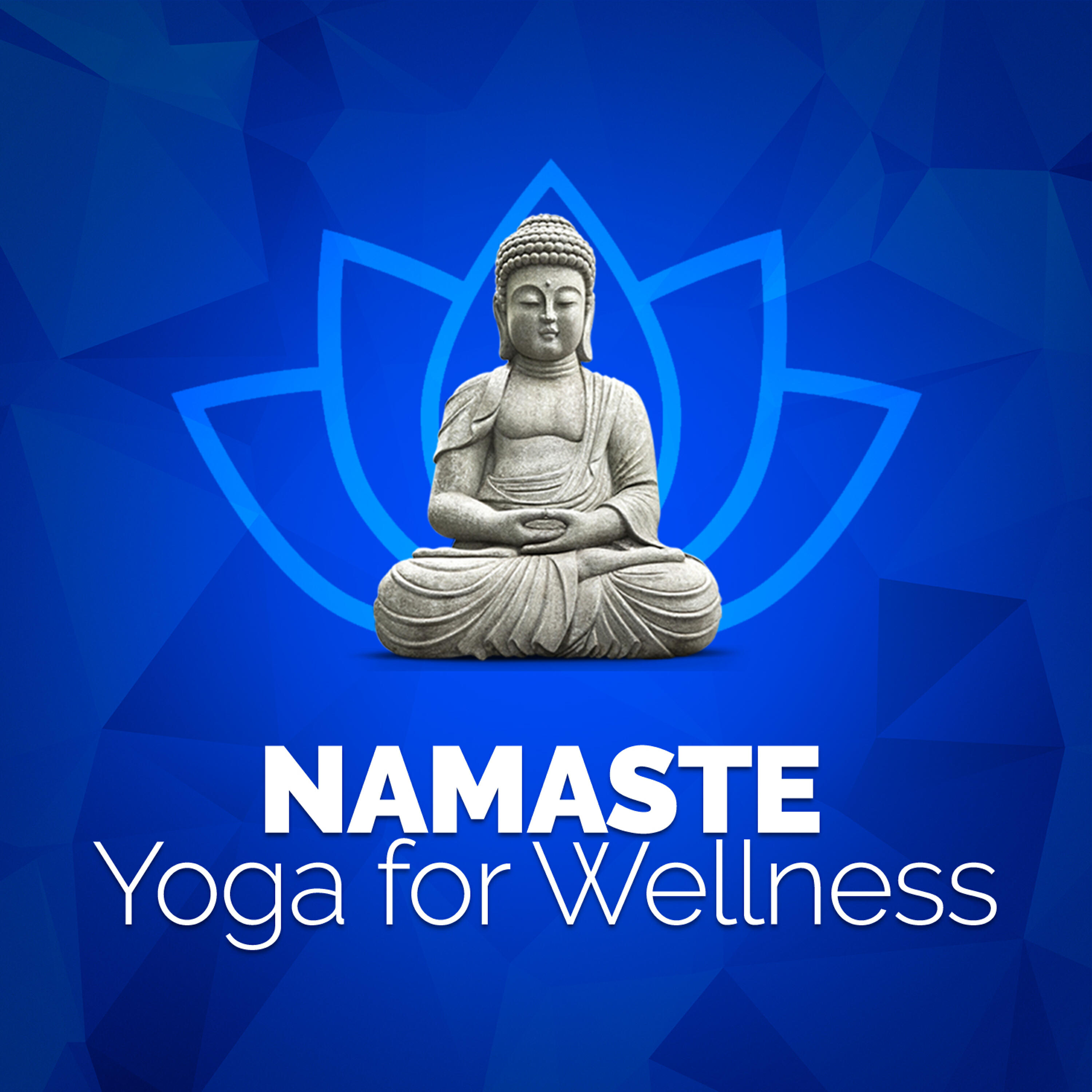 Постер альбома Namaste: Yoga for Wellness