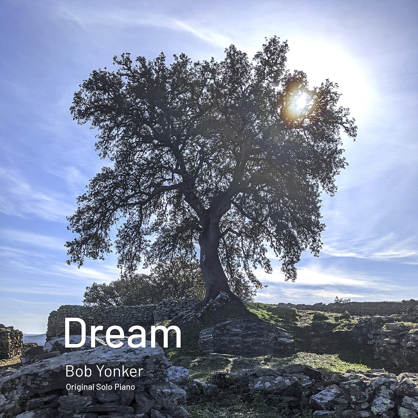 Релиз Dream