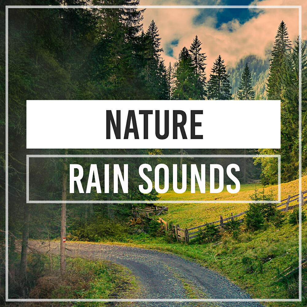 Релиз Nature Rain Sounds