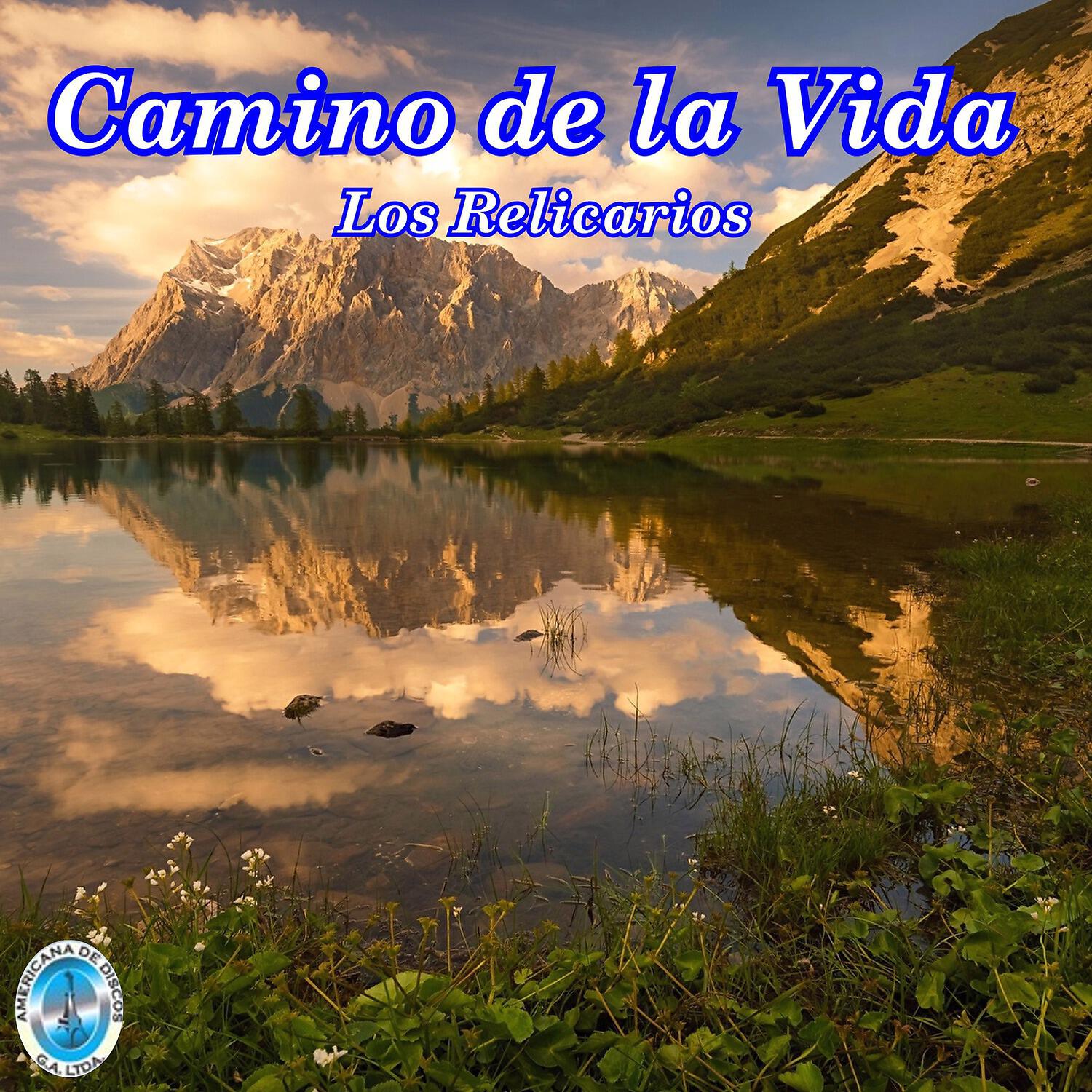 Релиз Camino de la Vida