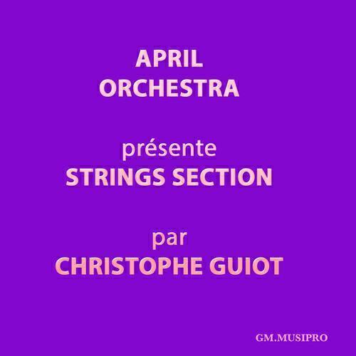 Christophe Guiot