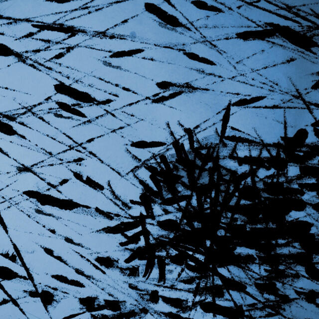 Релиз echo