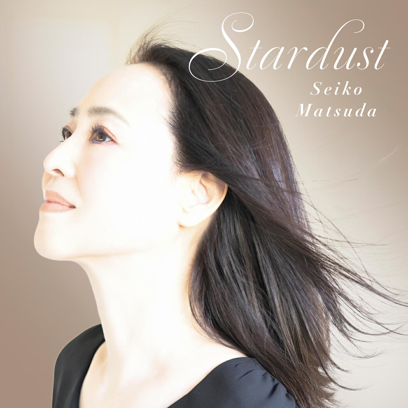 Релиз Stardust