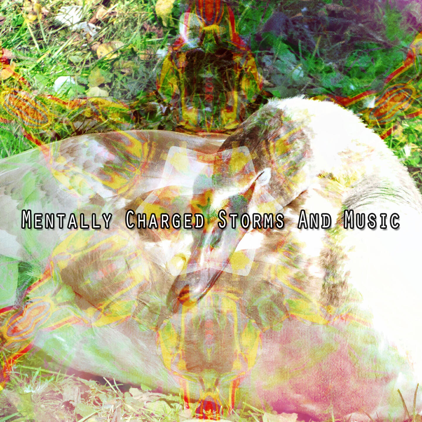 Релиз Mentally Charged Storms And Music