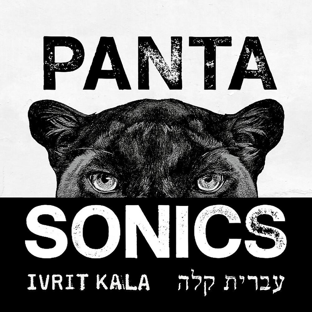 Pantasonics