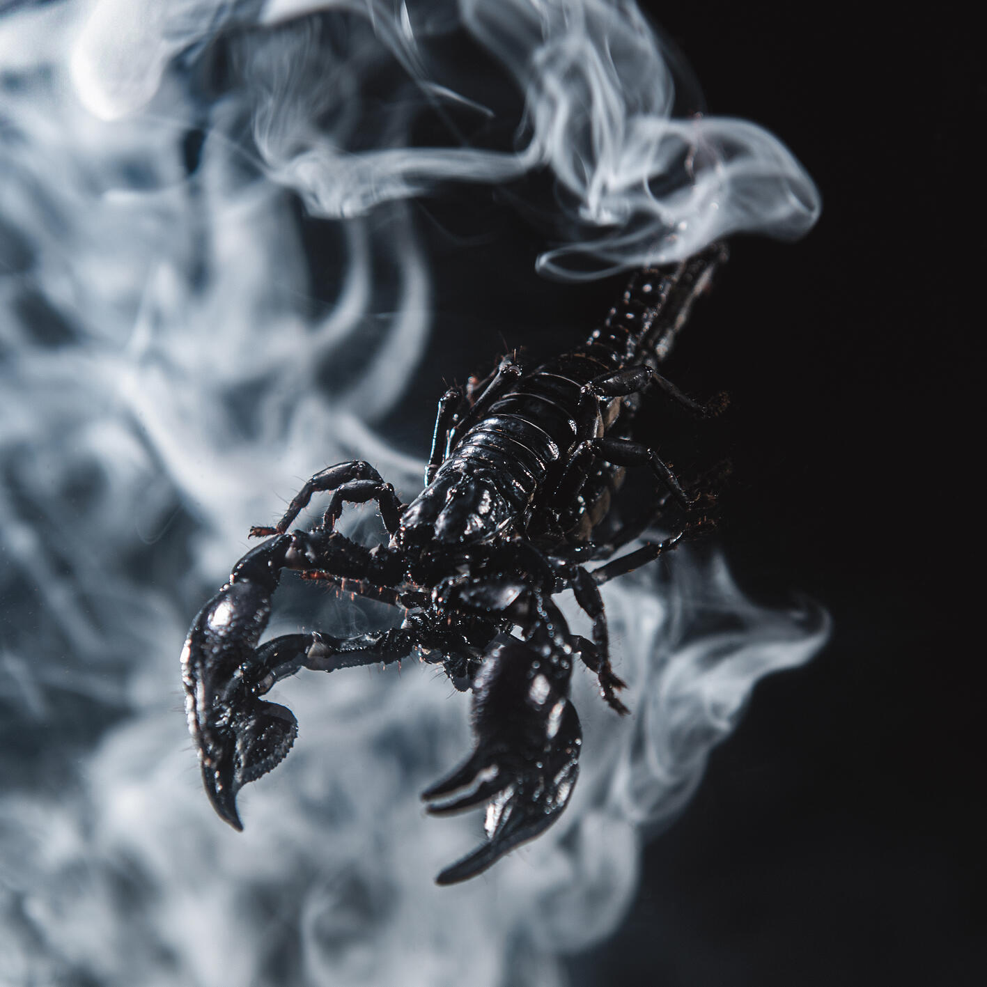 Релиз Fumo (Scorpio Medley)