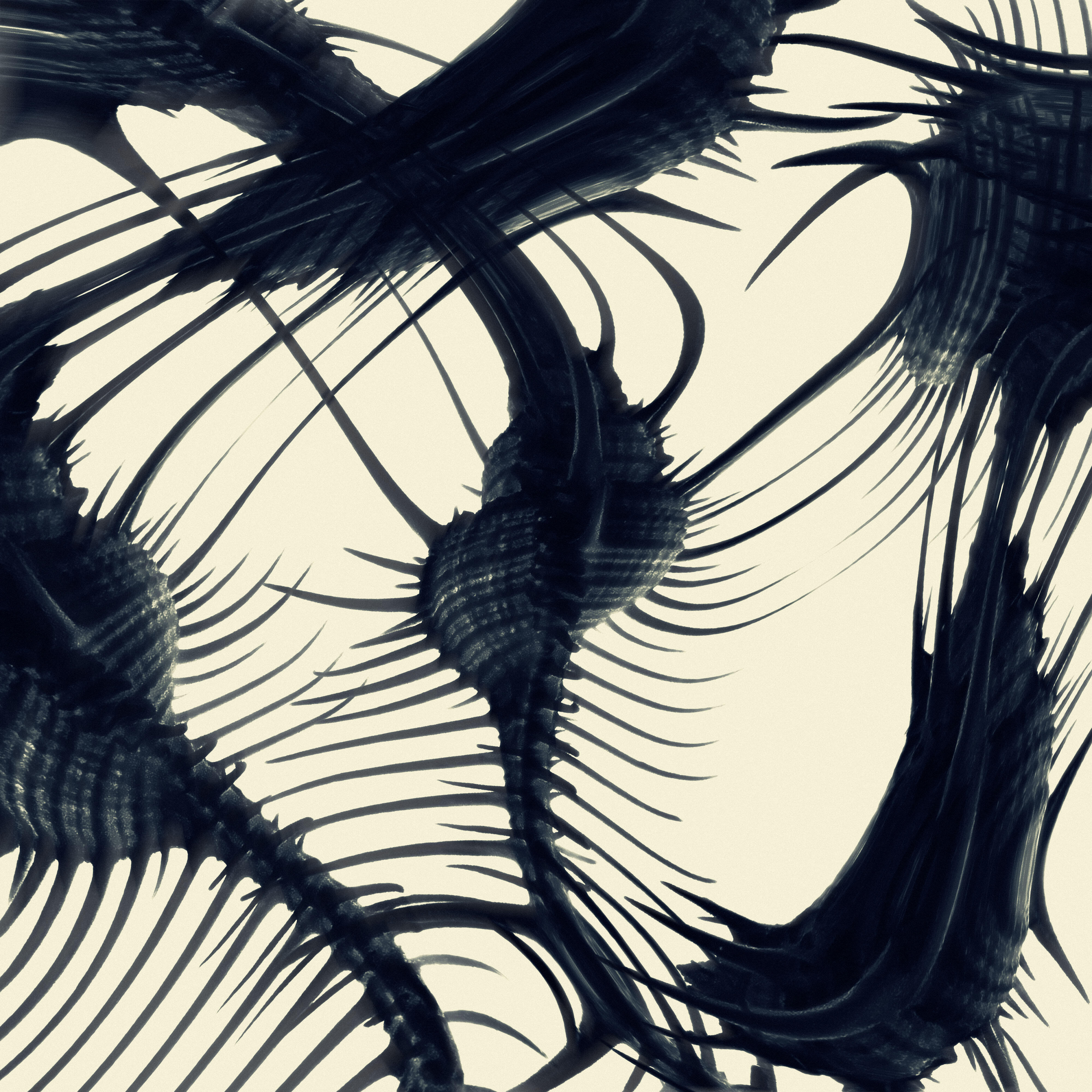 Релиз Primal Touch