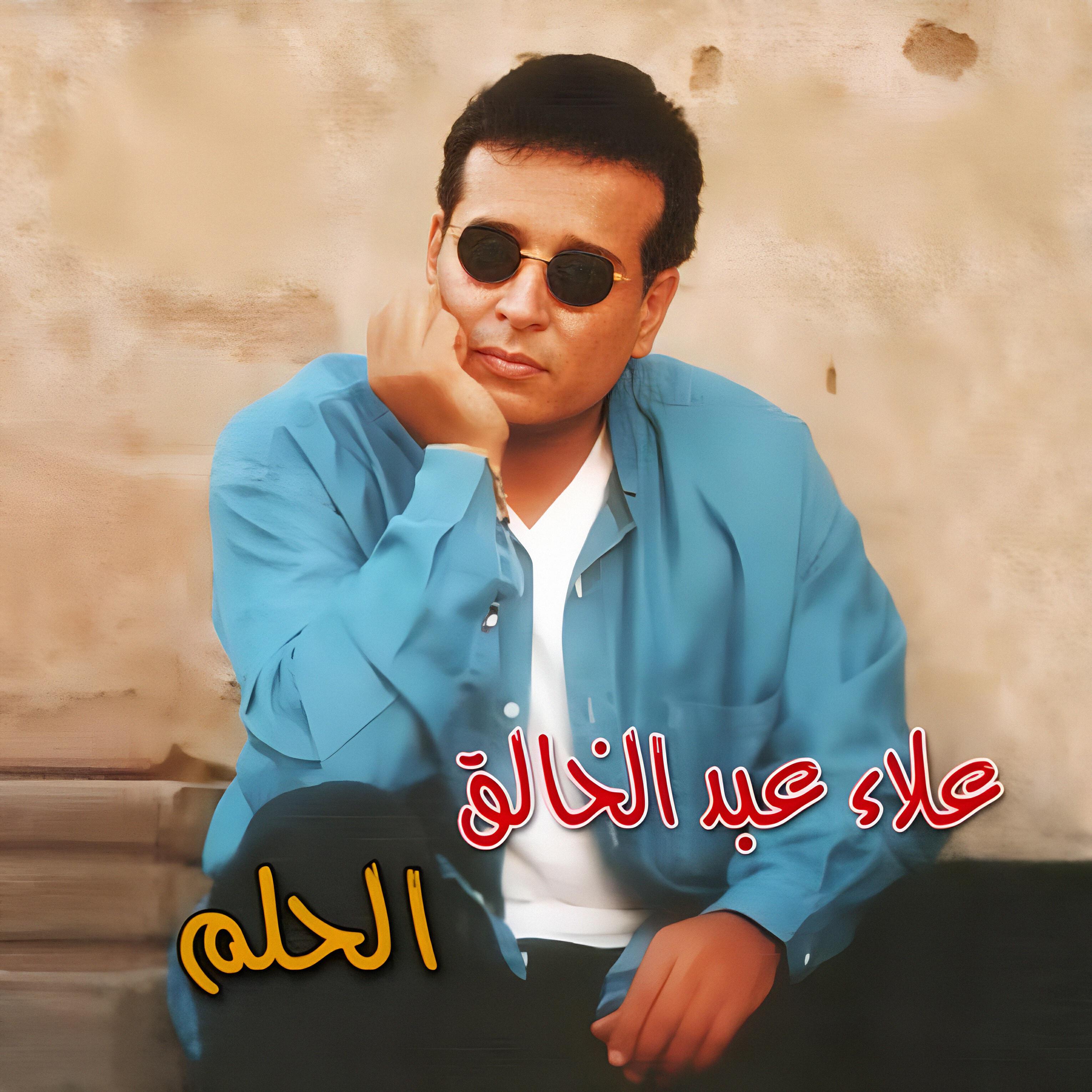 Alaa Abdel Khalek