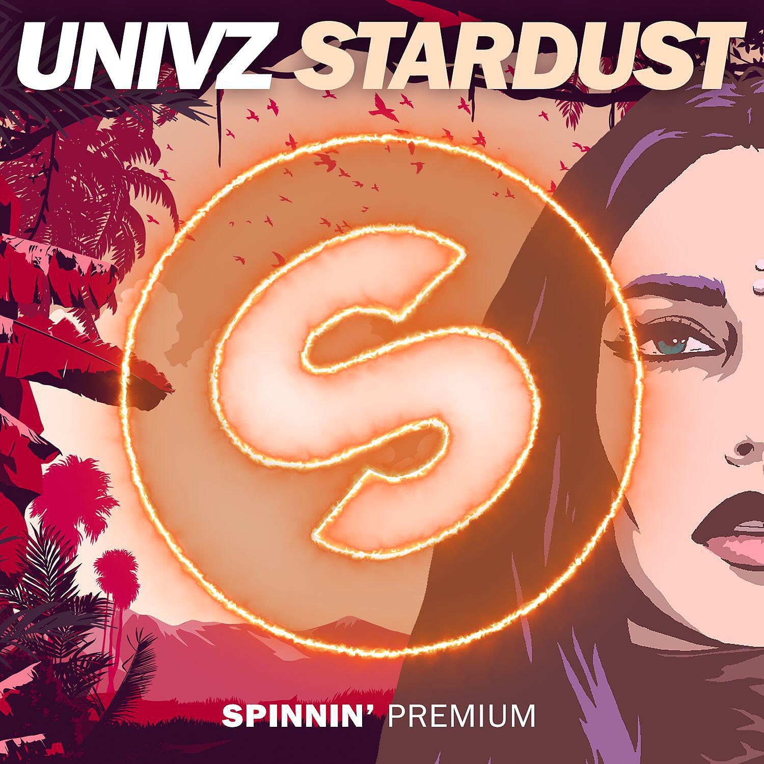 Релиз Stardust