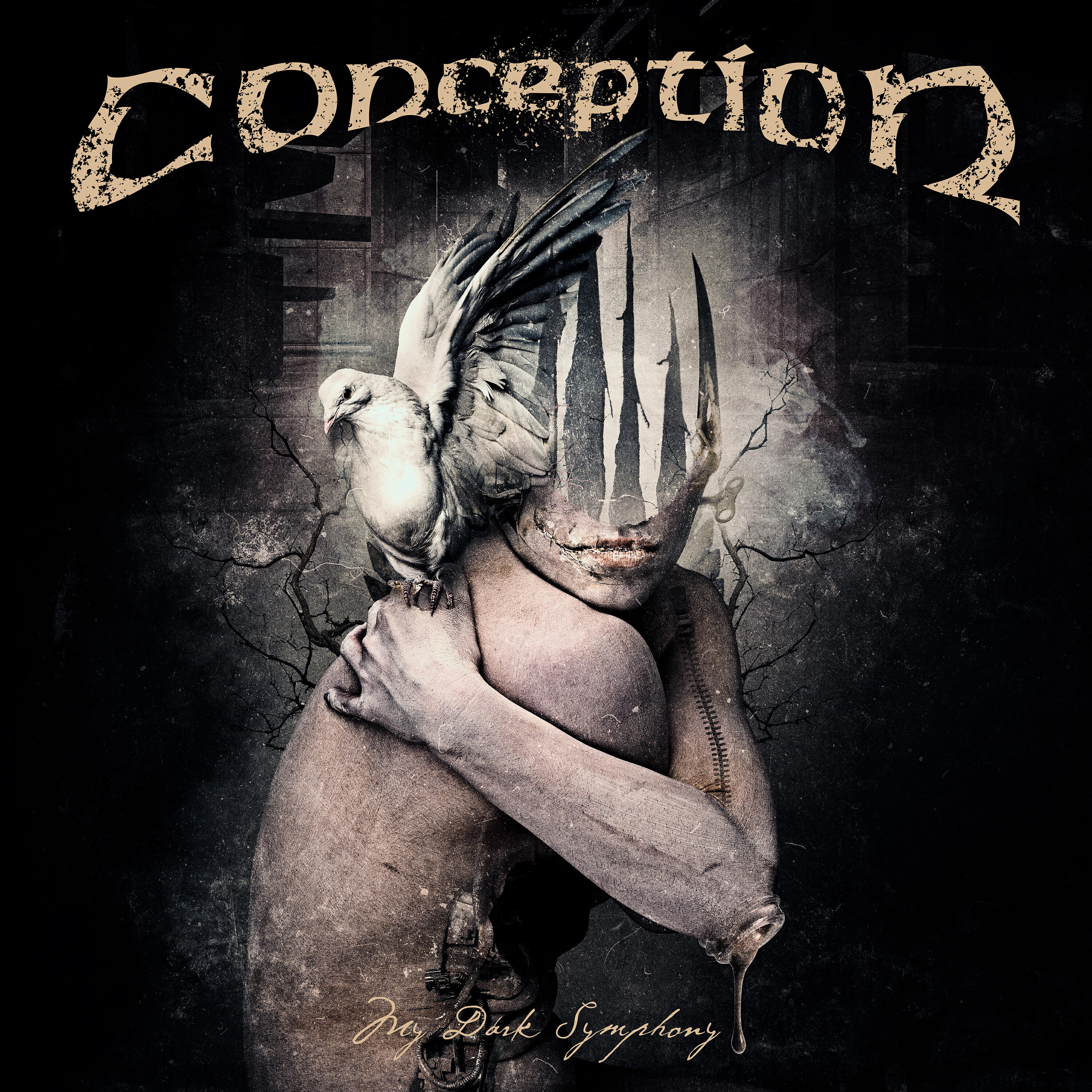 Релиз My Dark Symphony