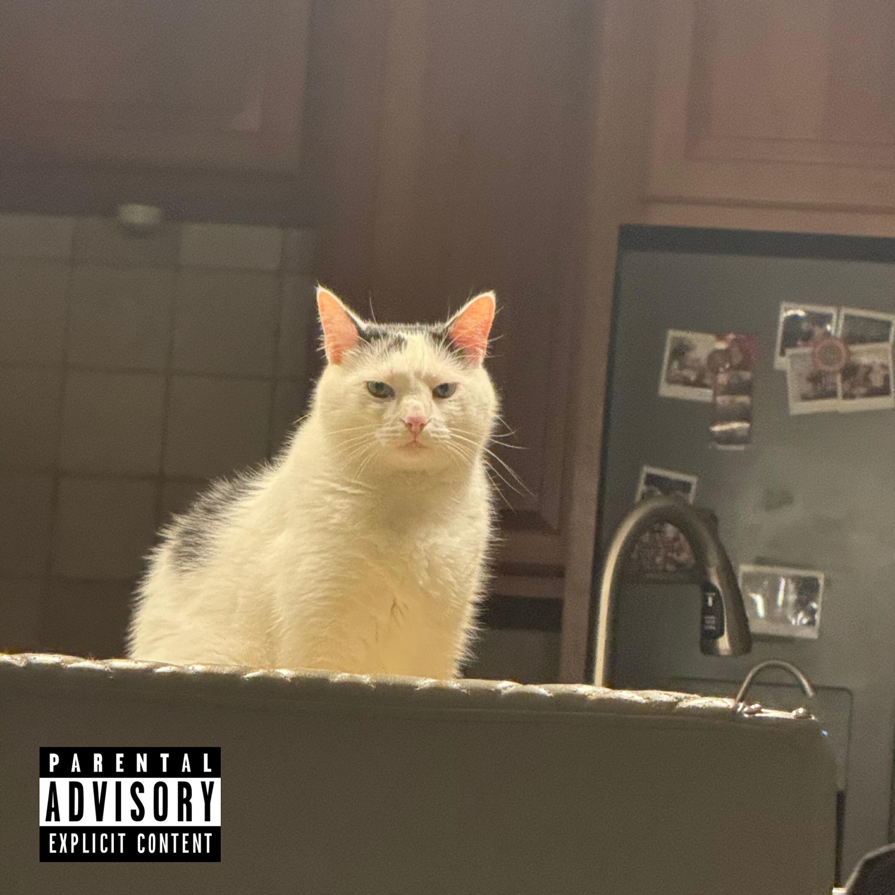 Релиз IFHY