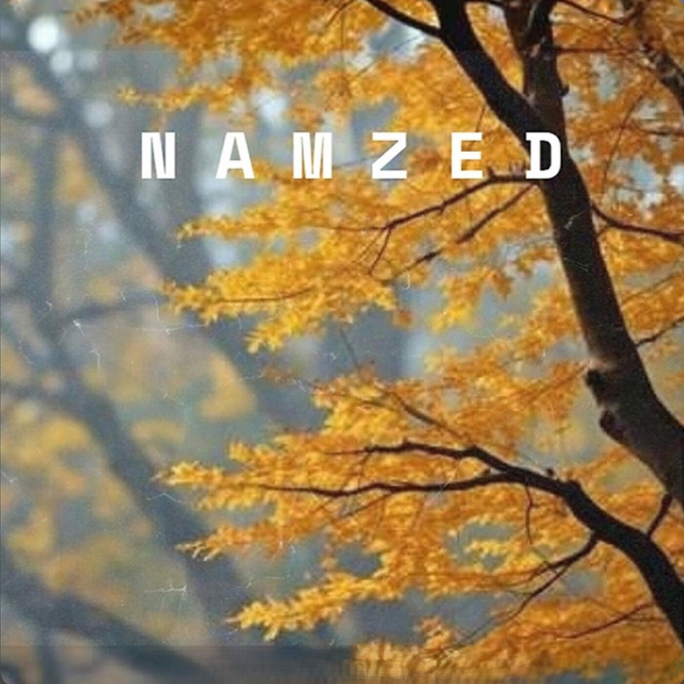 Релиз Namzed