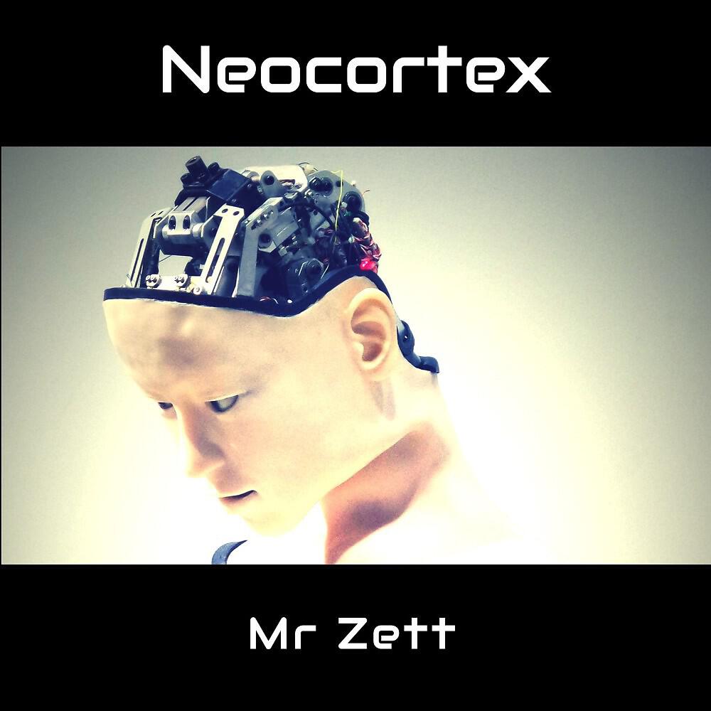 Mr. Zett