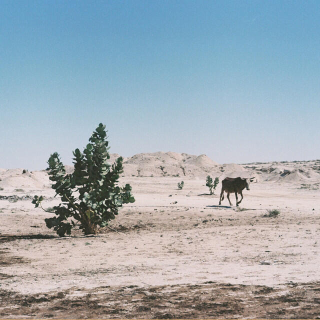 Релиз Alkhar Dessouf (Zeid Hamdan Remix)