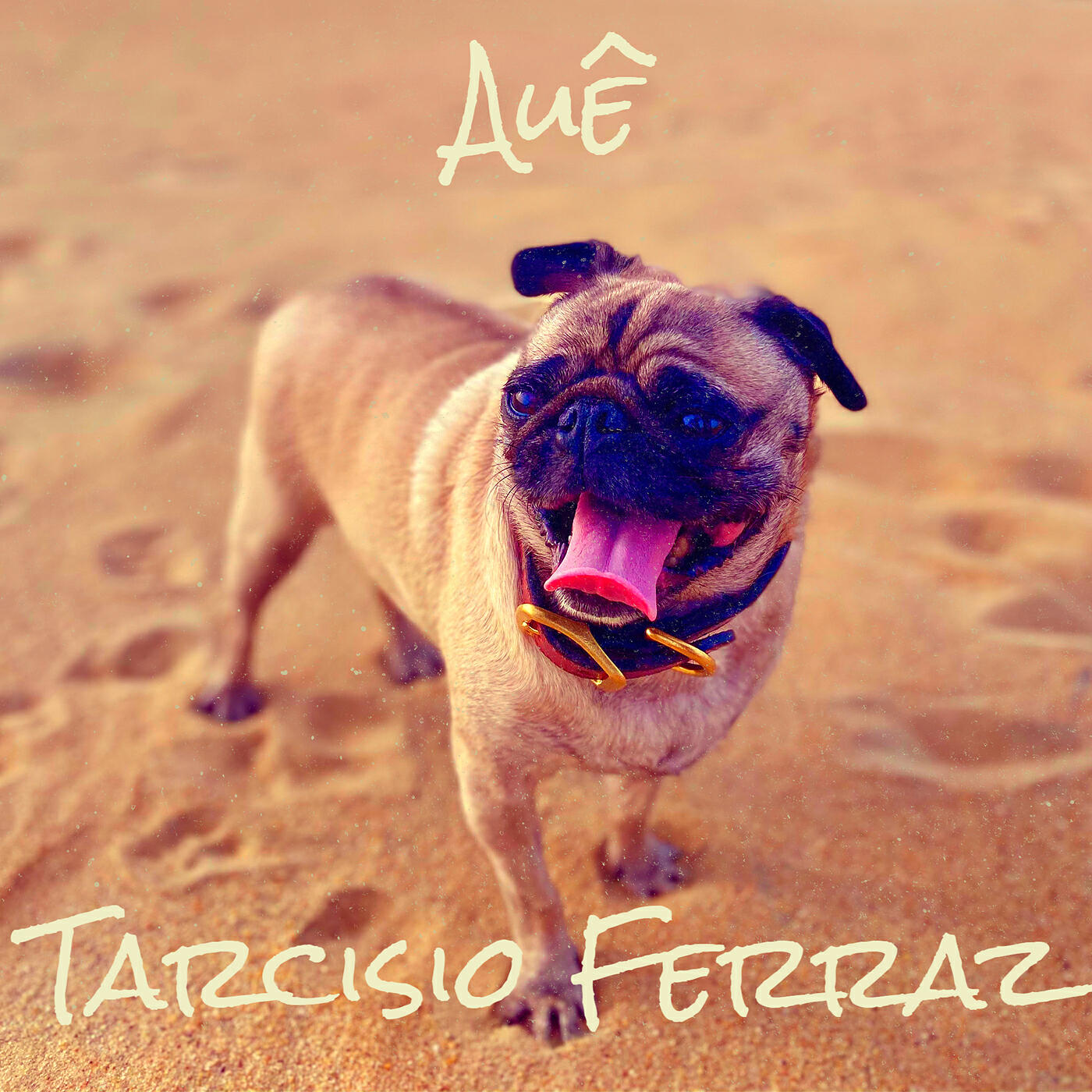 TARCISIO FERRAZ