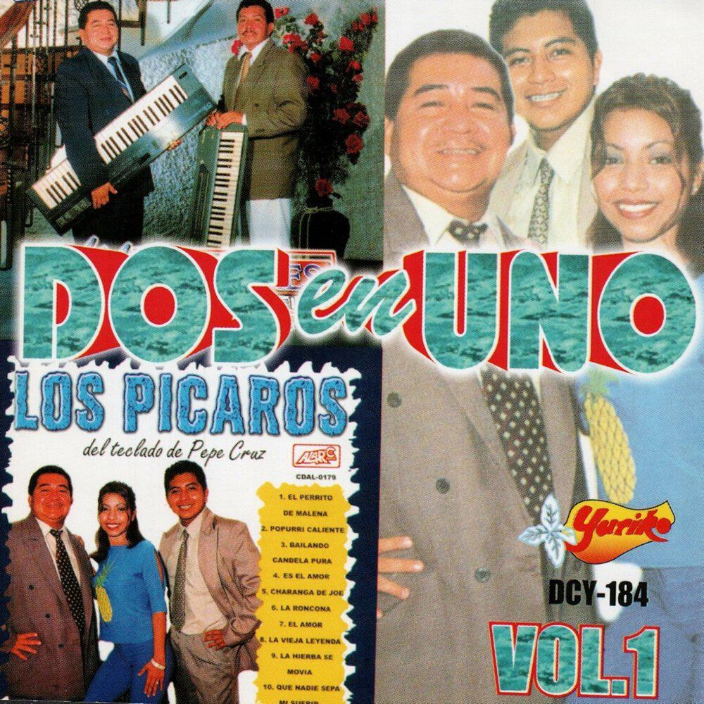 Los Picarones Del Teclado
