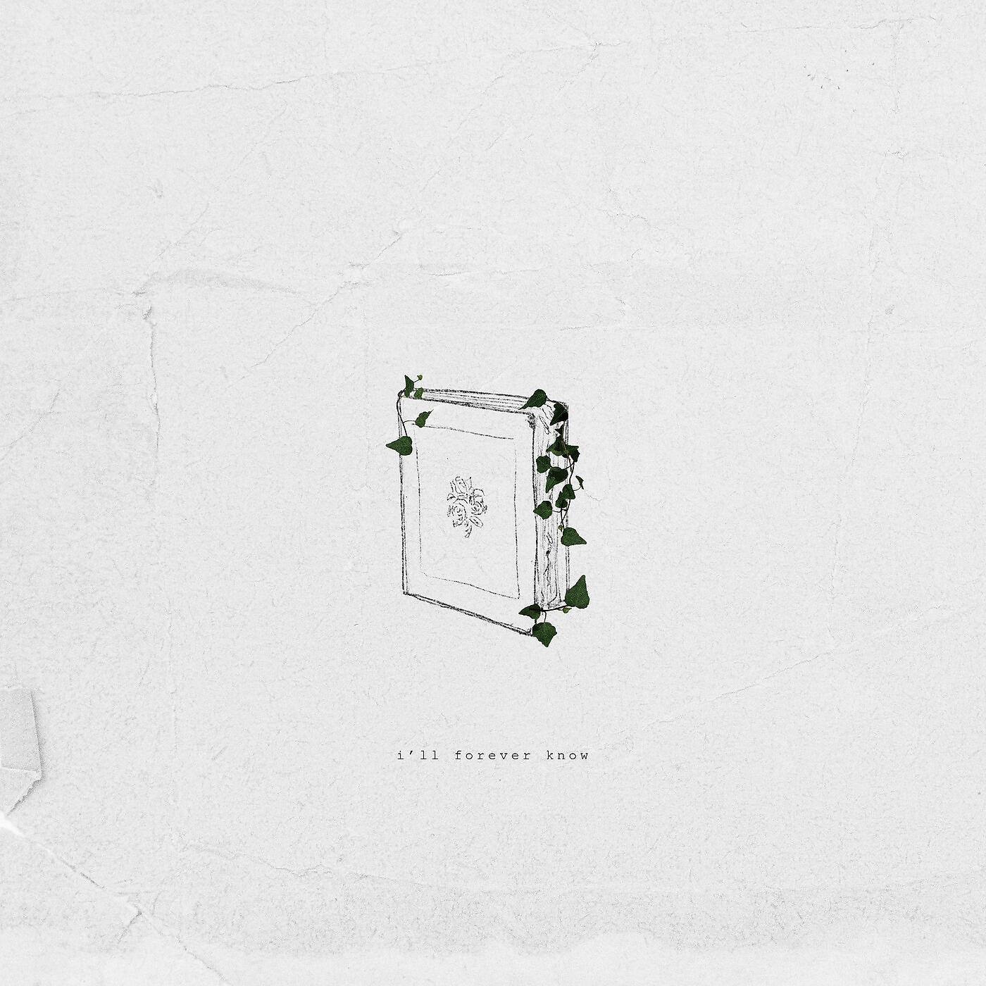 Релиз I'll Forever Know