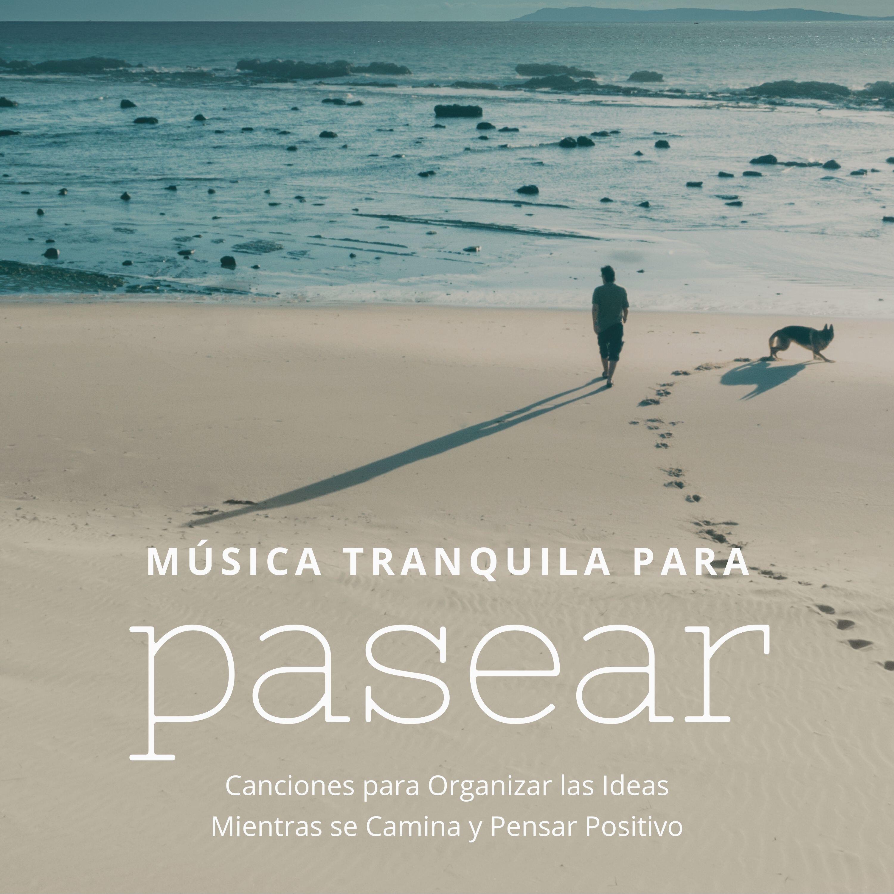 Релиз Música Tranquila para Pasear: Canciones para Organizar las Ideas Mientras se Camina y Pensar Positivo