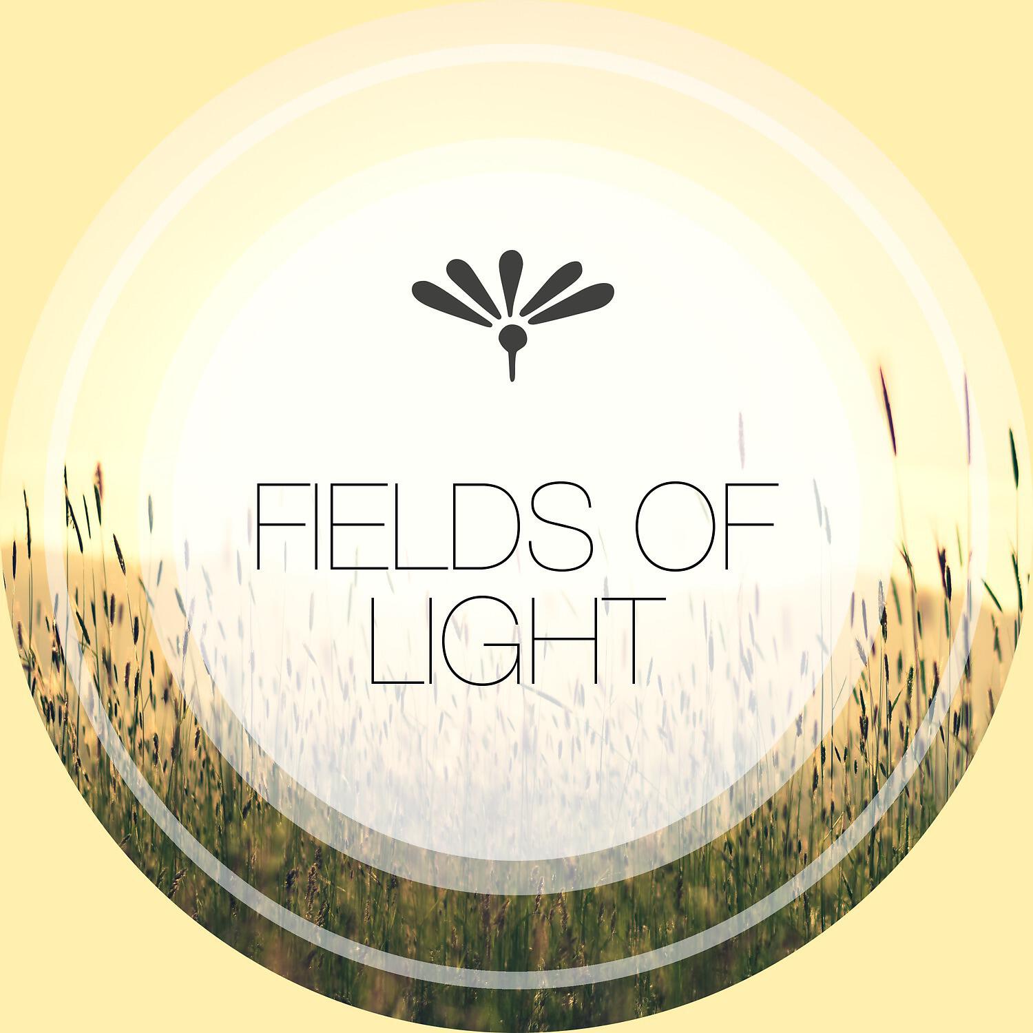 Релиз Fields of Light
