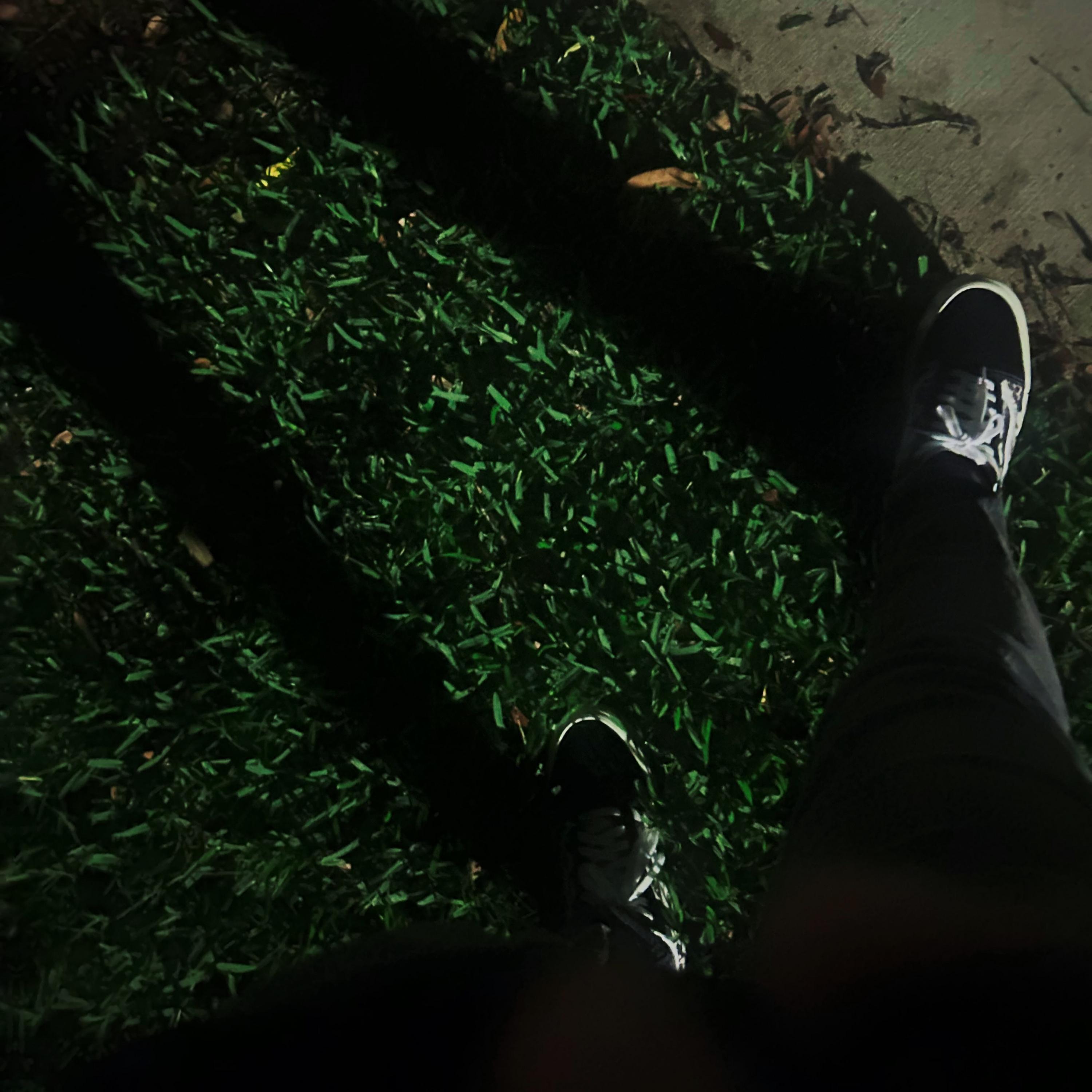 Релиз walls can't talk