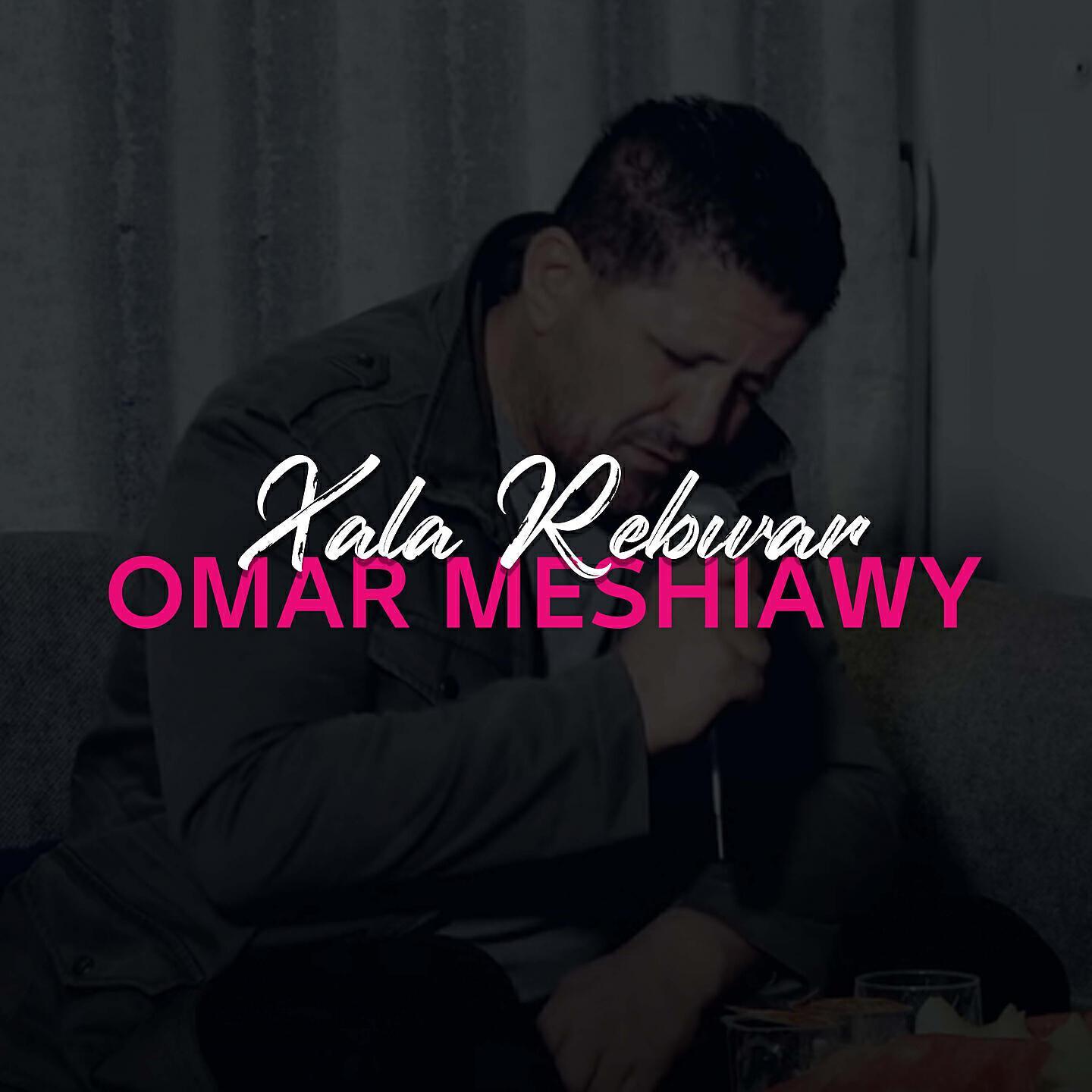 Omar Meshiawy