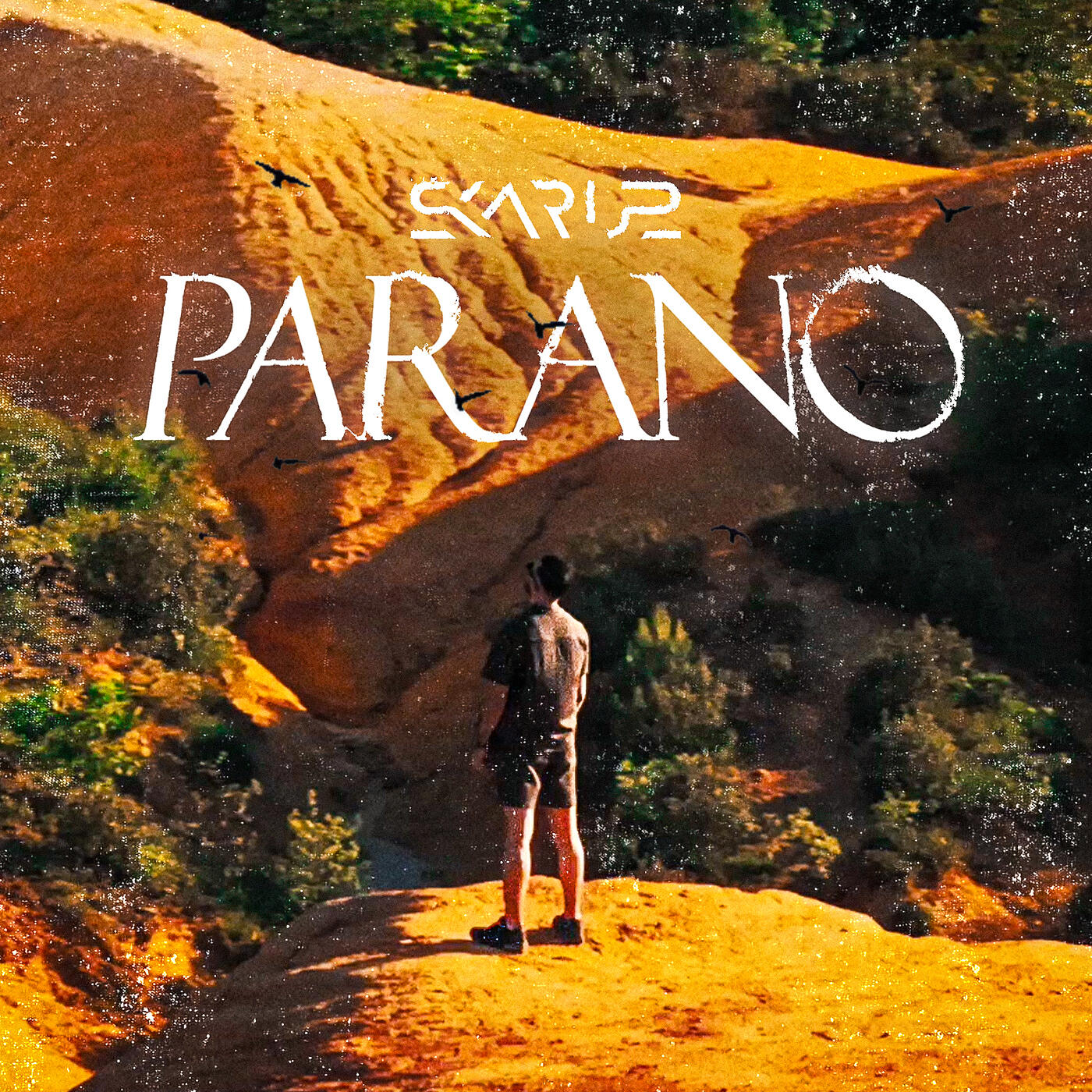 Релиз Parano