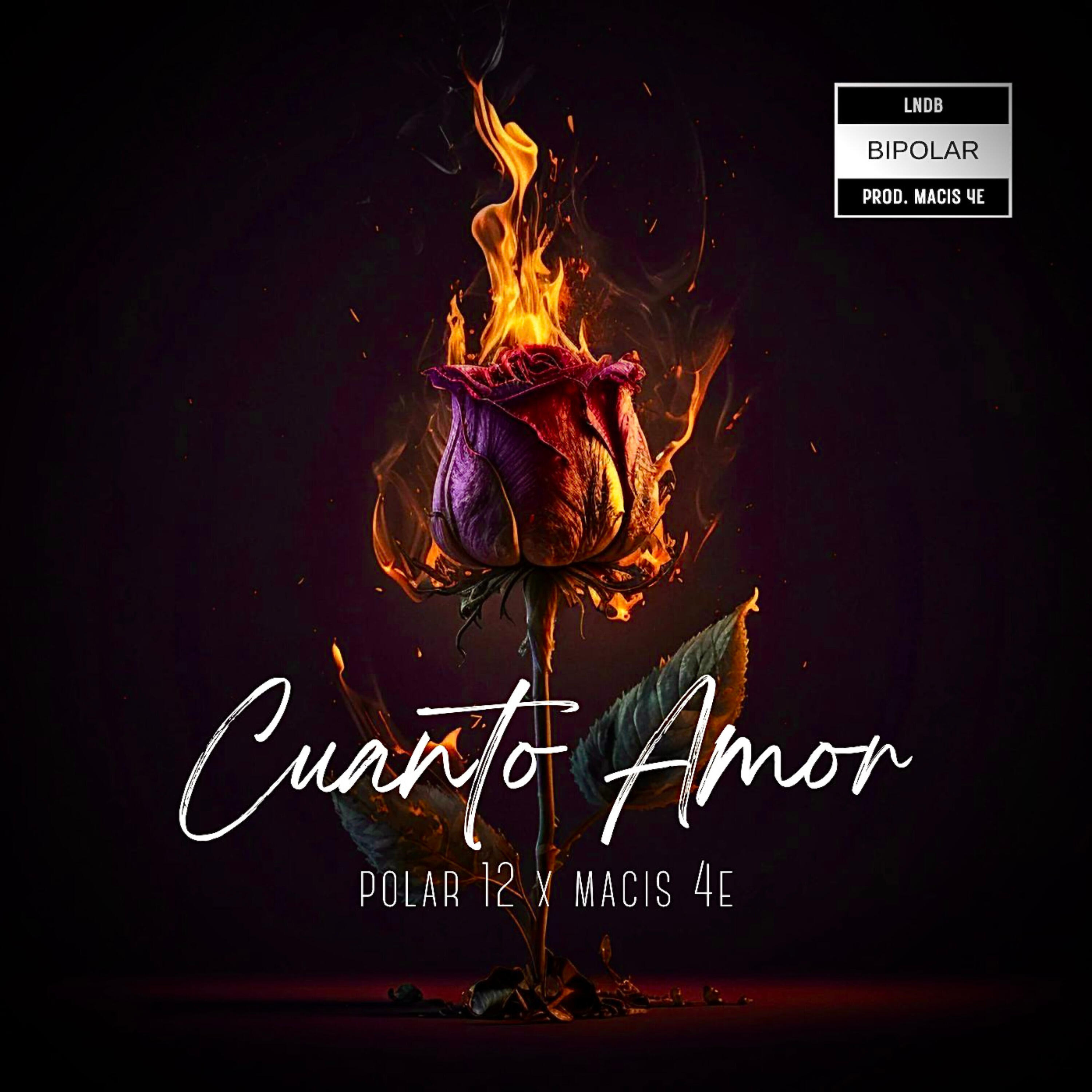 Релиз Cuanto Amor