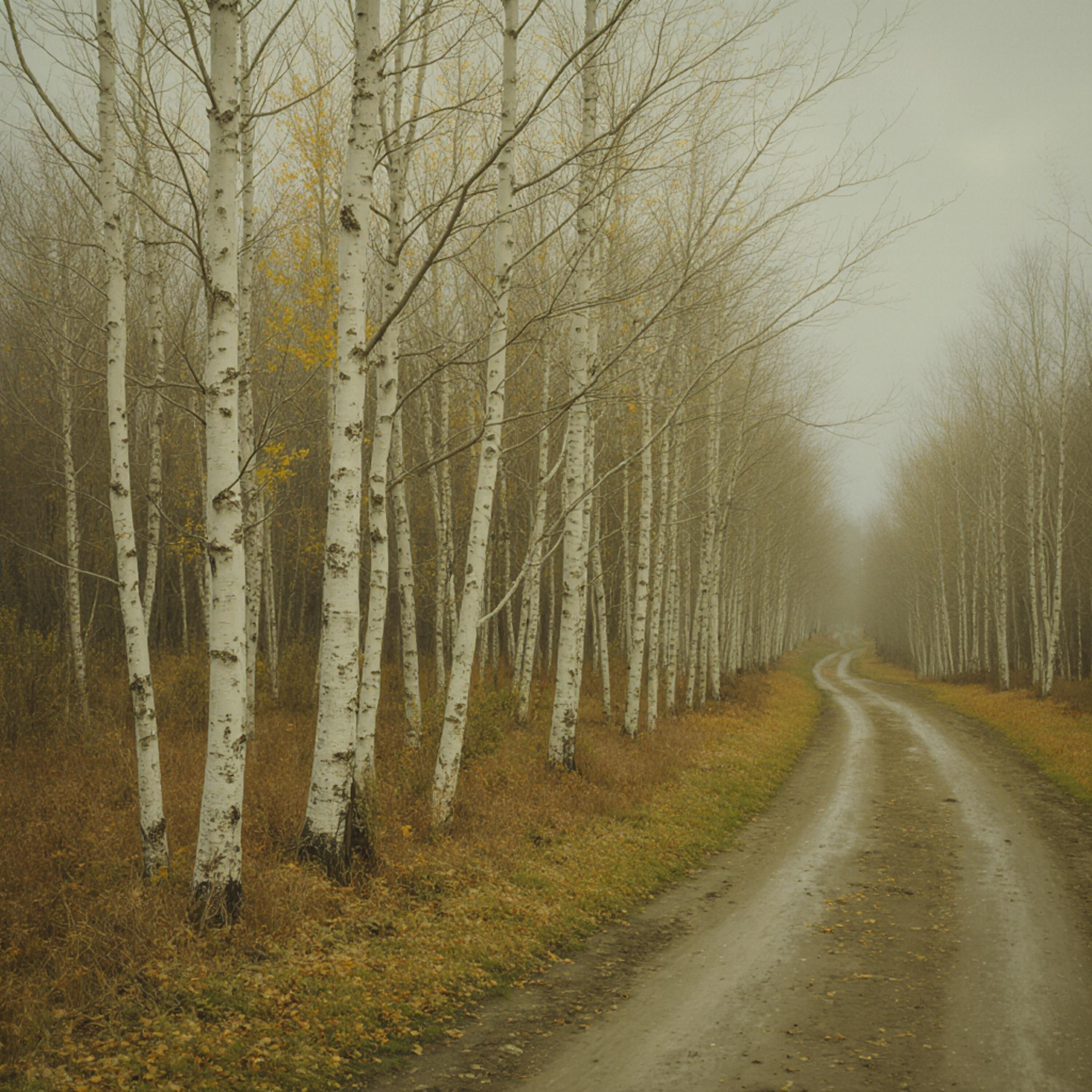 Стихи для души