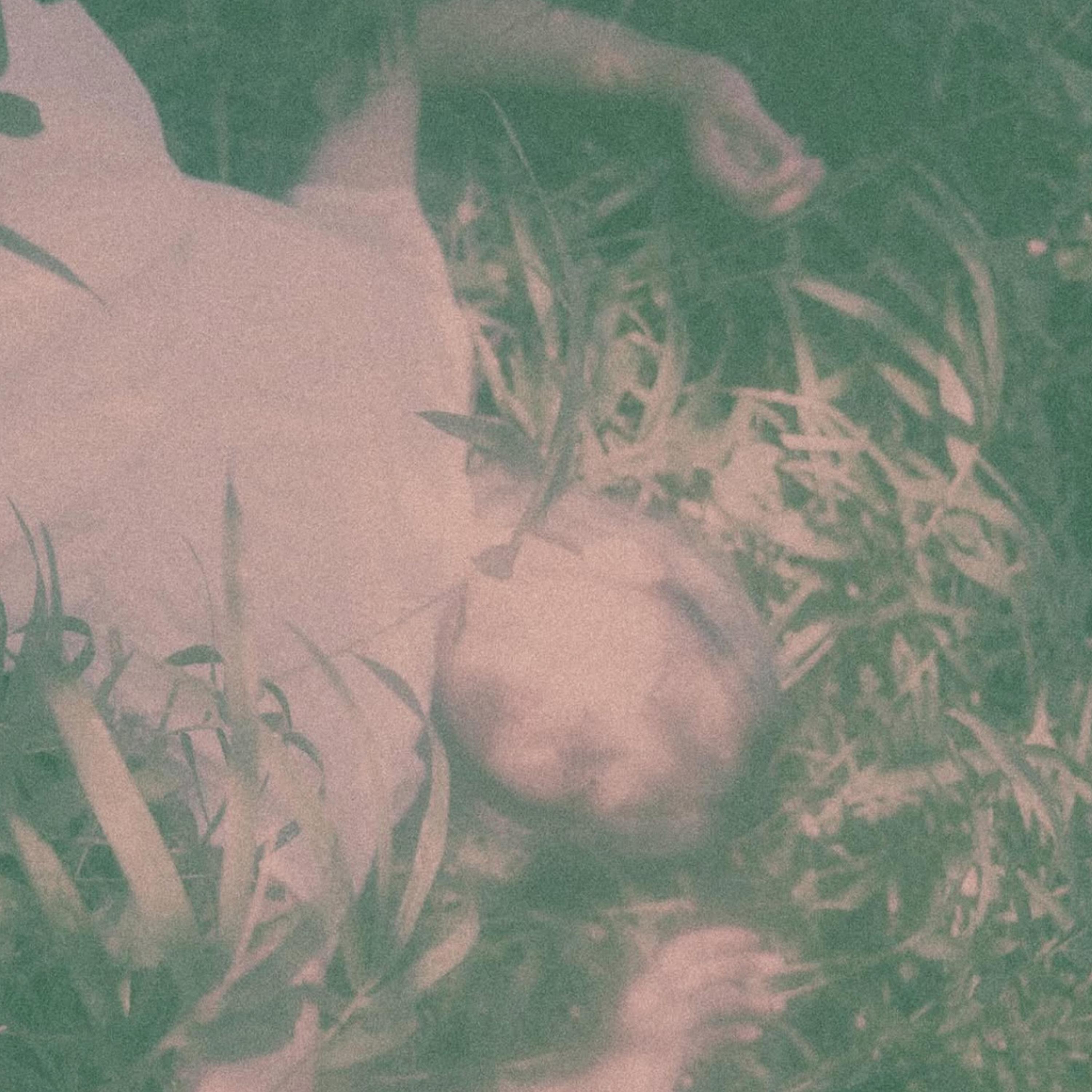 Релиз Runaway x Dead Man Walking