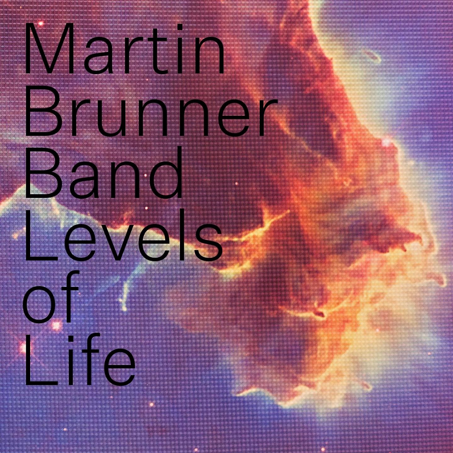 Постер альбома Levels of Life
