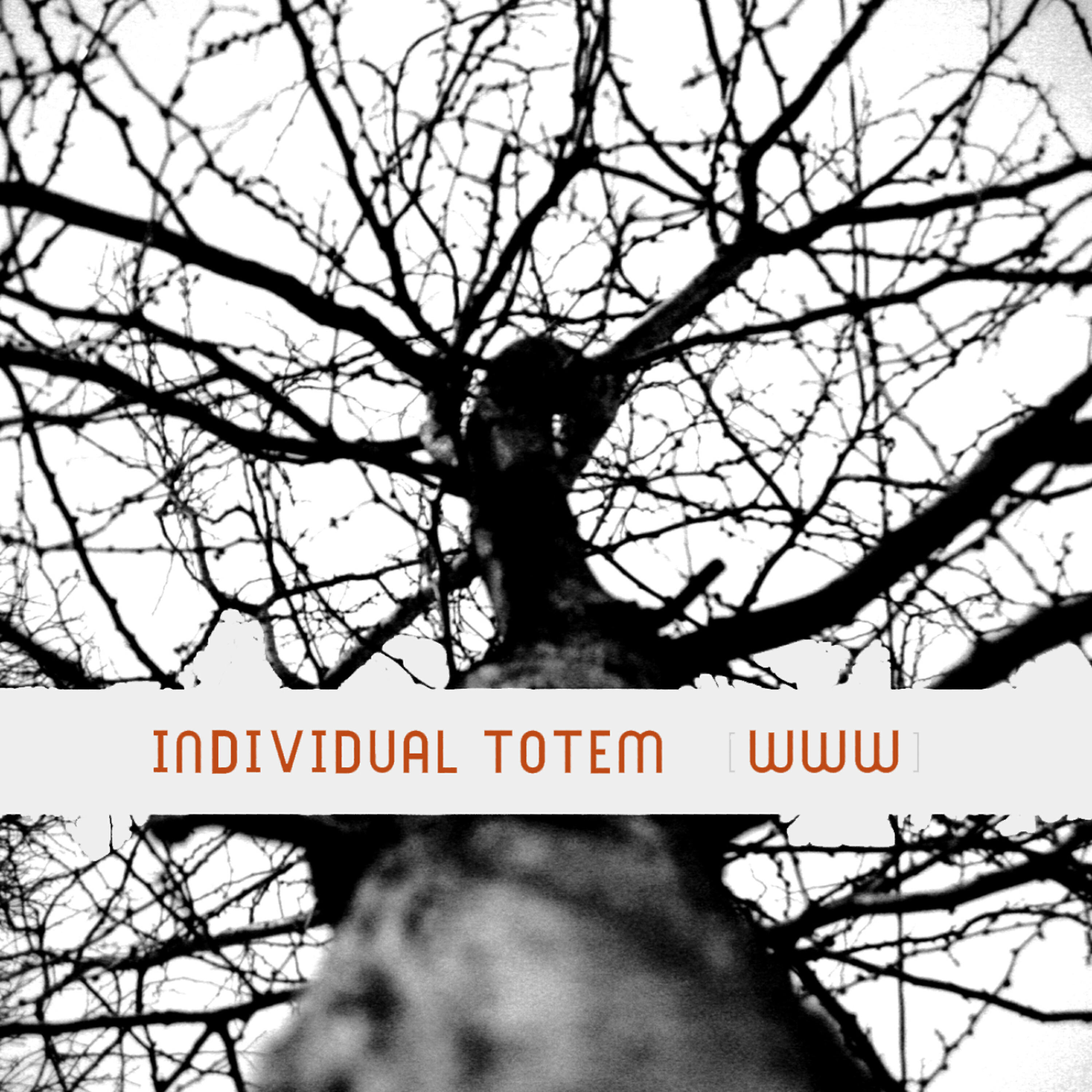 Релиз WWW