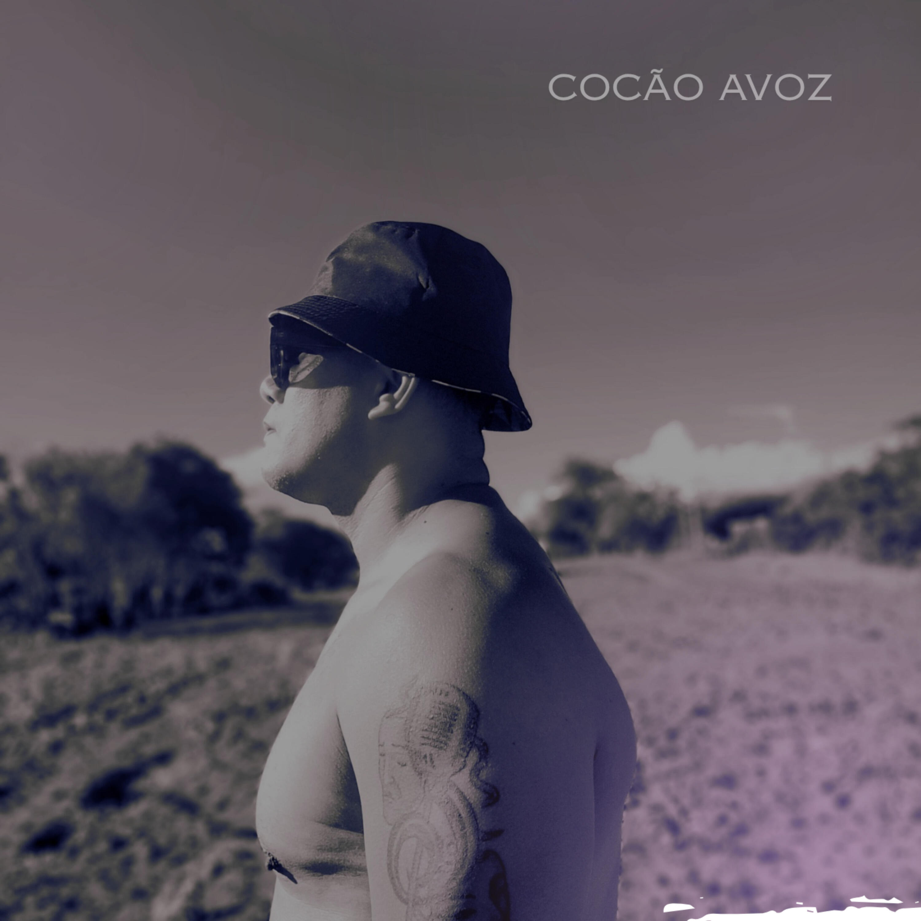 Релиз A Voz