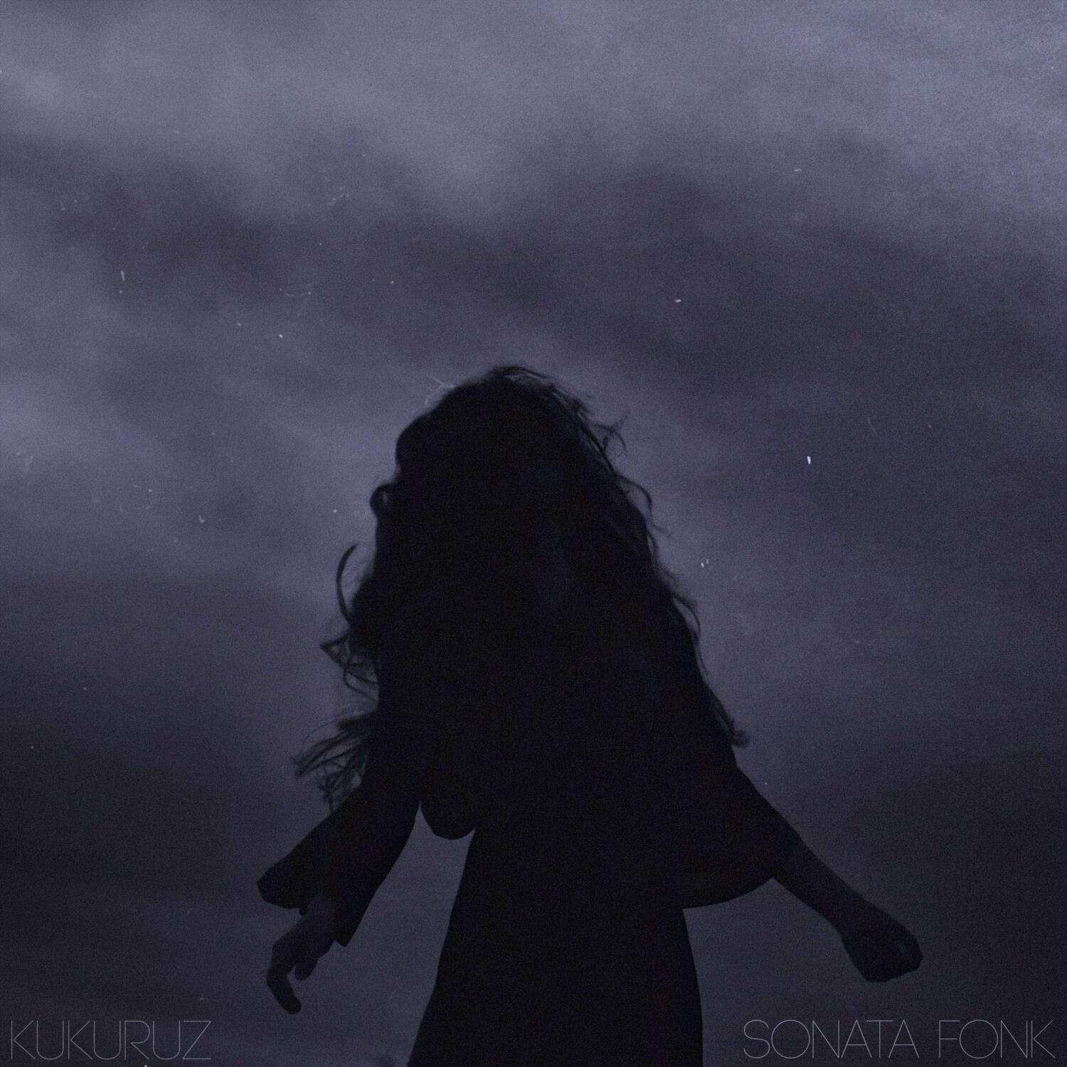 Релиз SONATA FONK