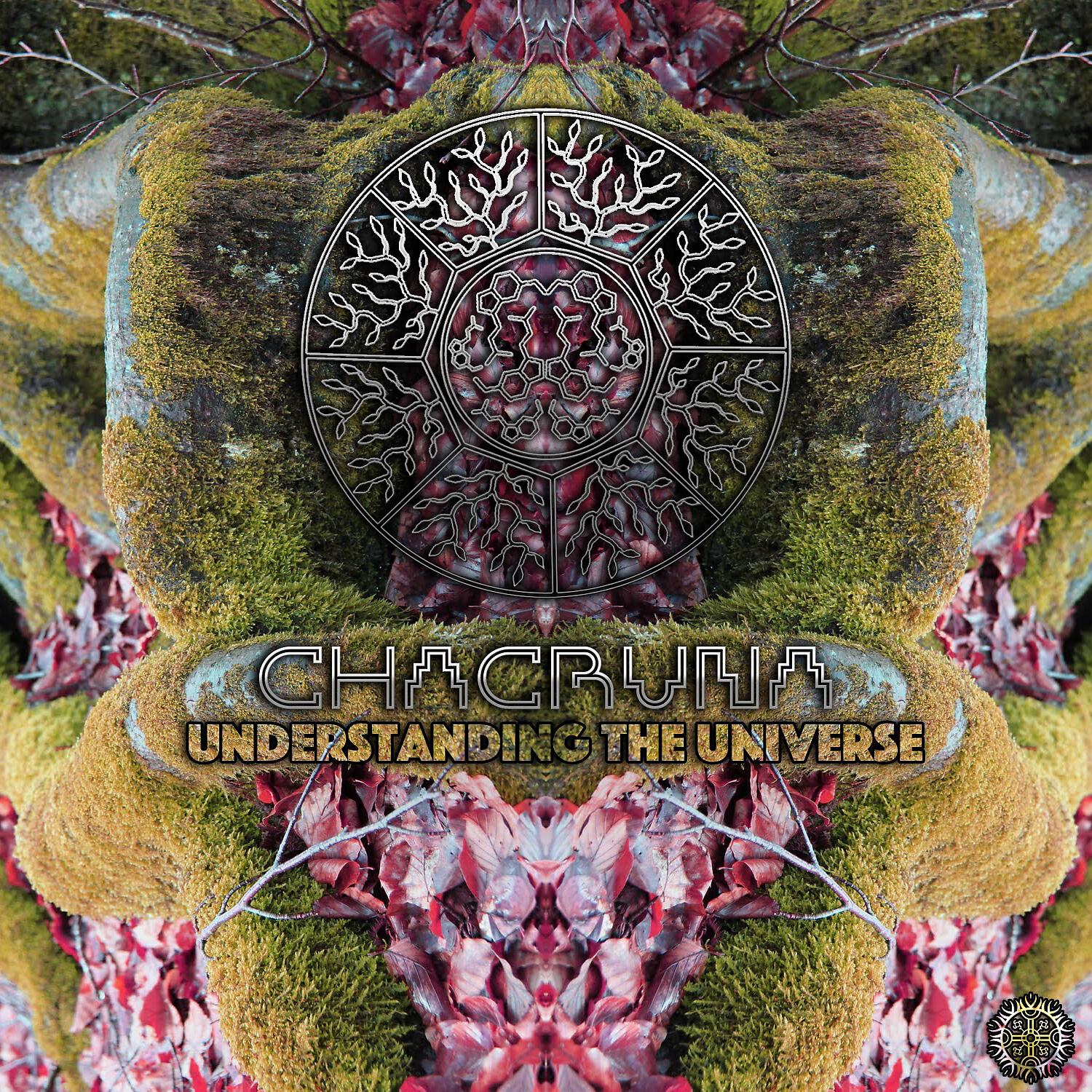 Релиз Understanding the Universe