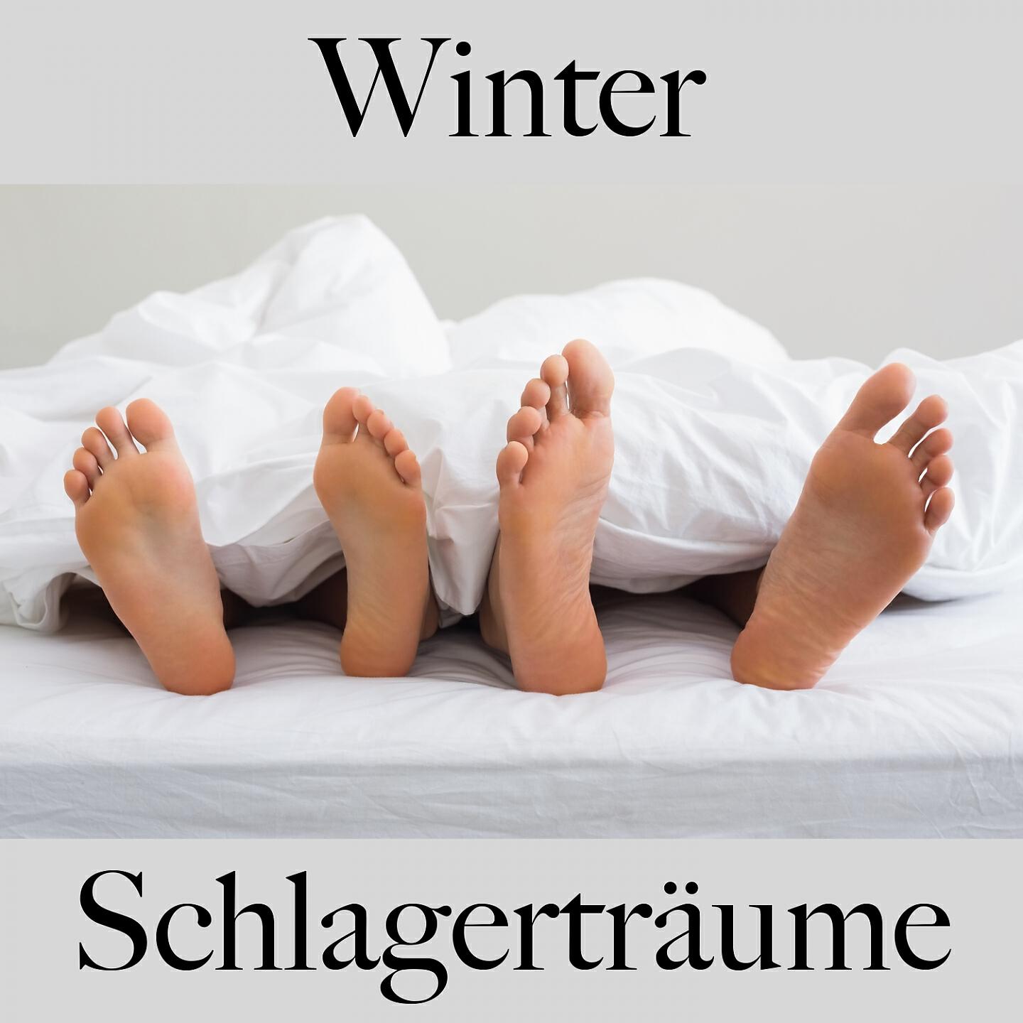 Релиз Winter: Schlagerträume - Die Beste Musik Zum Entspannen