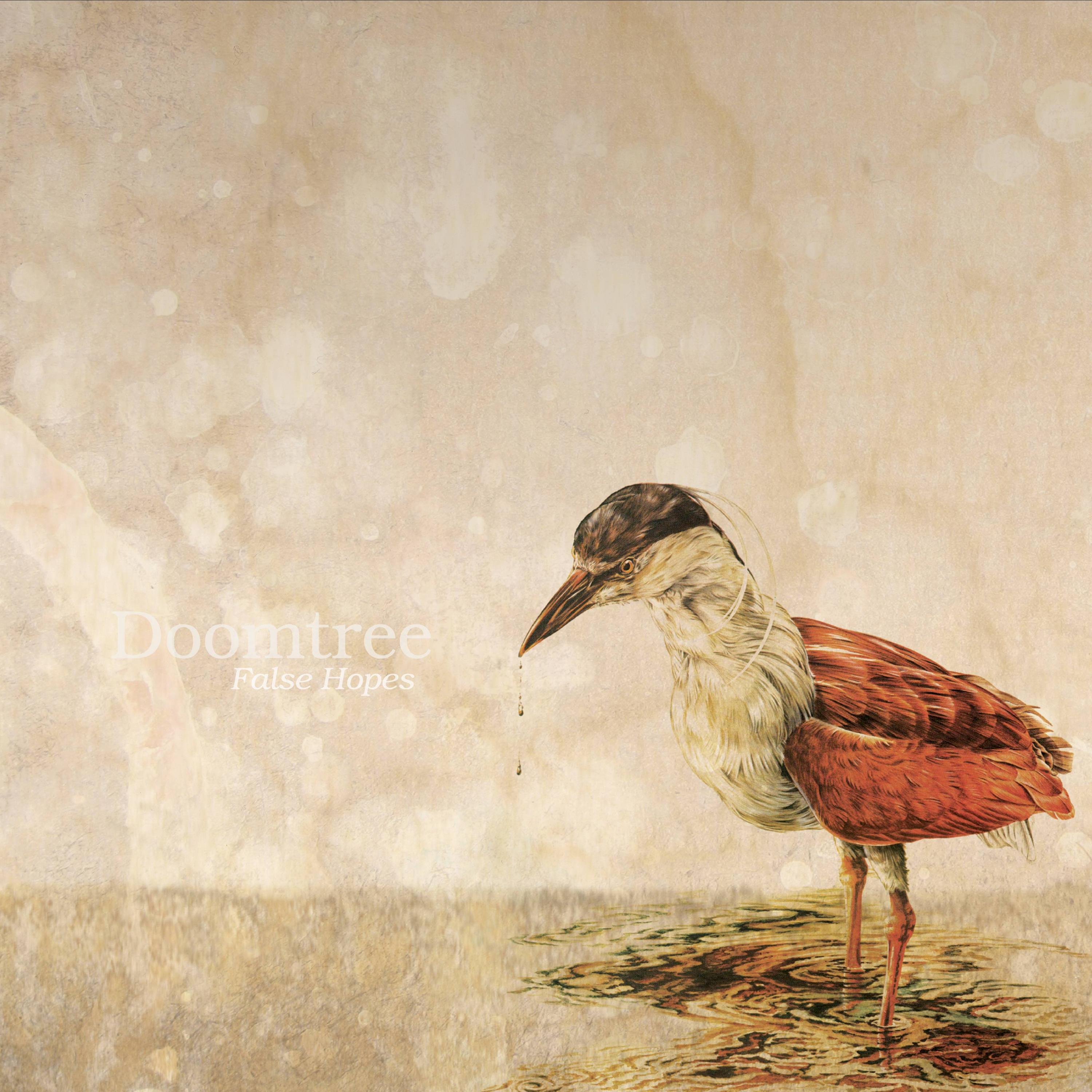 Релиз False Hopes