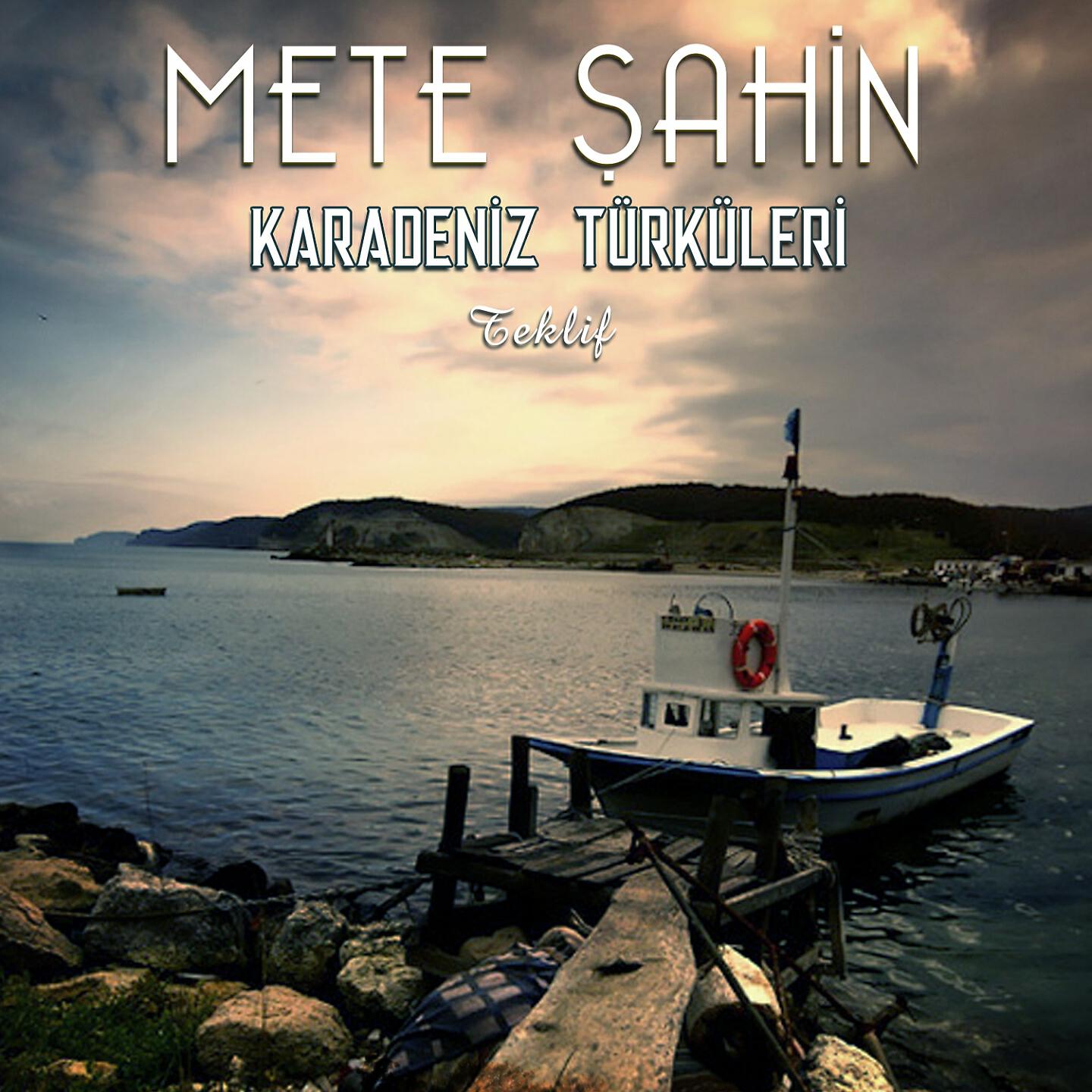 Mete Şahin