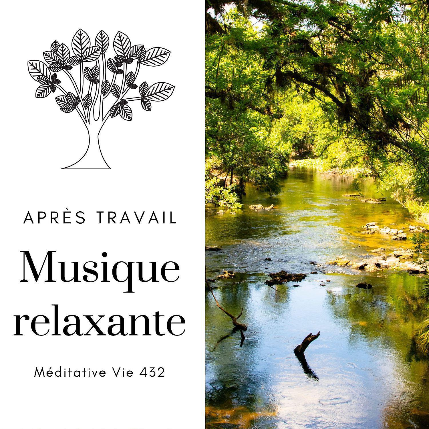 Релиз Musique relaxante après travail