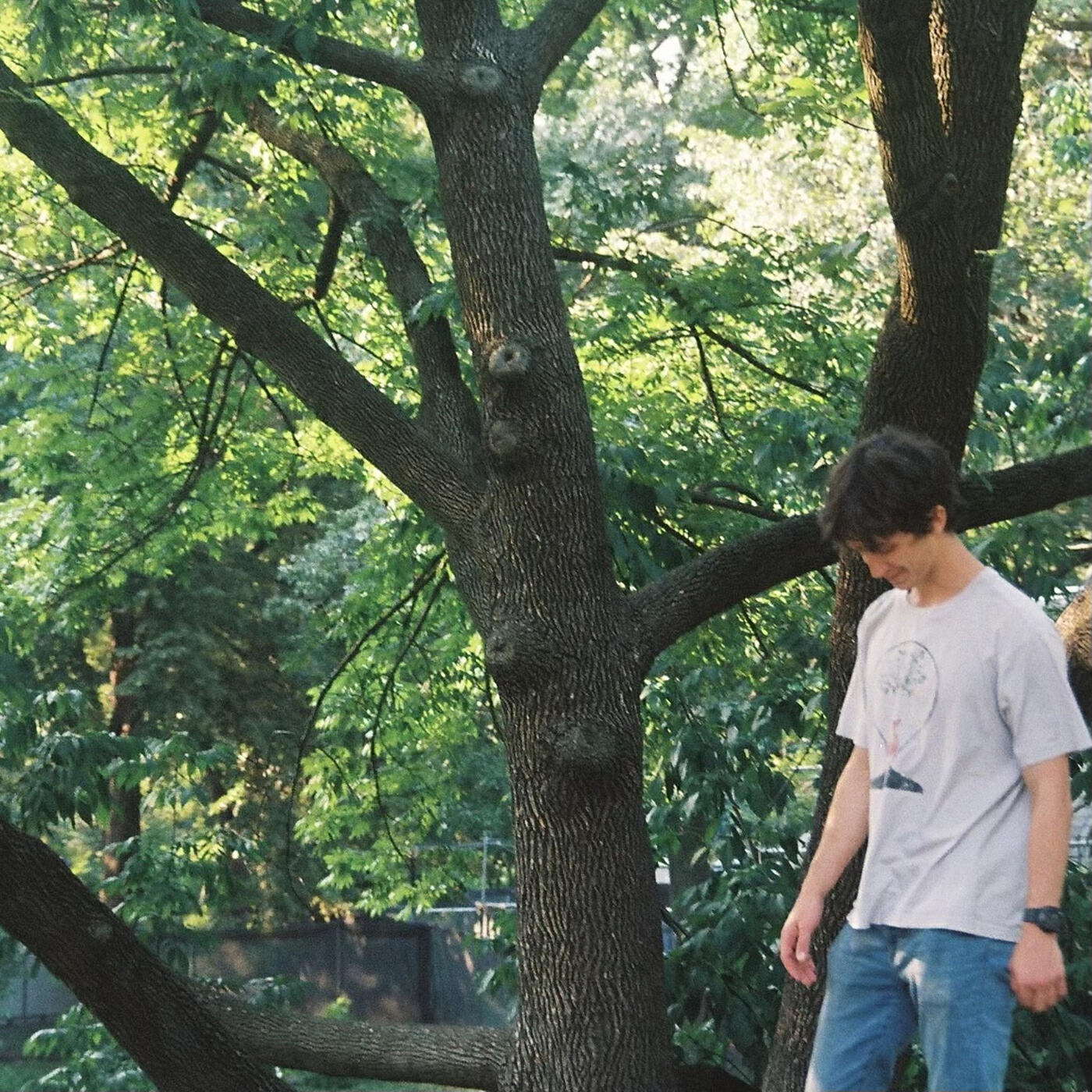 Релиз Patiently
