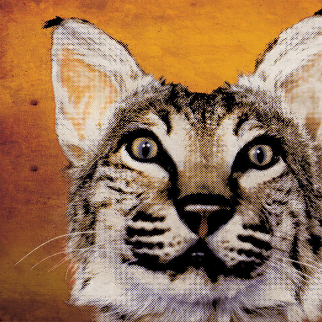 Релиз Saying Goodbye