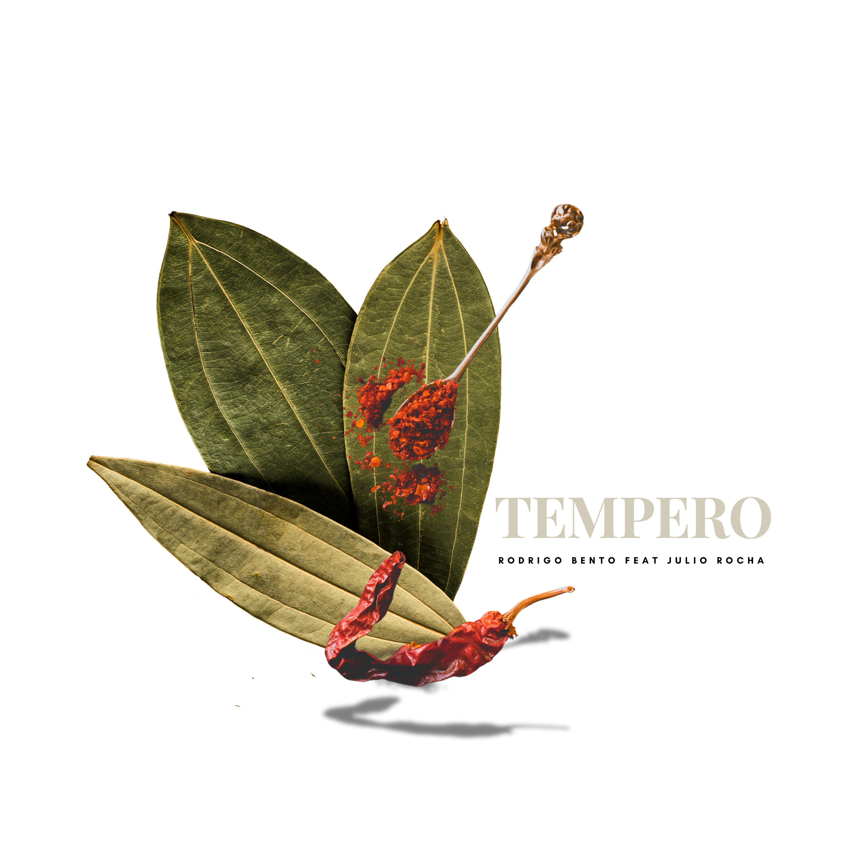 Релиз Tempero