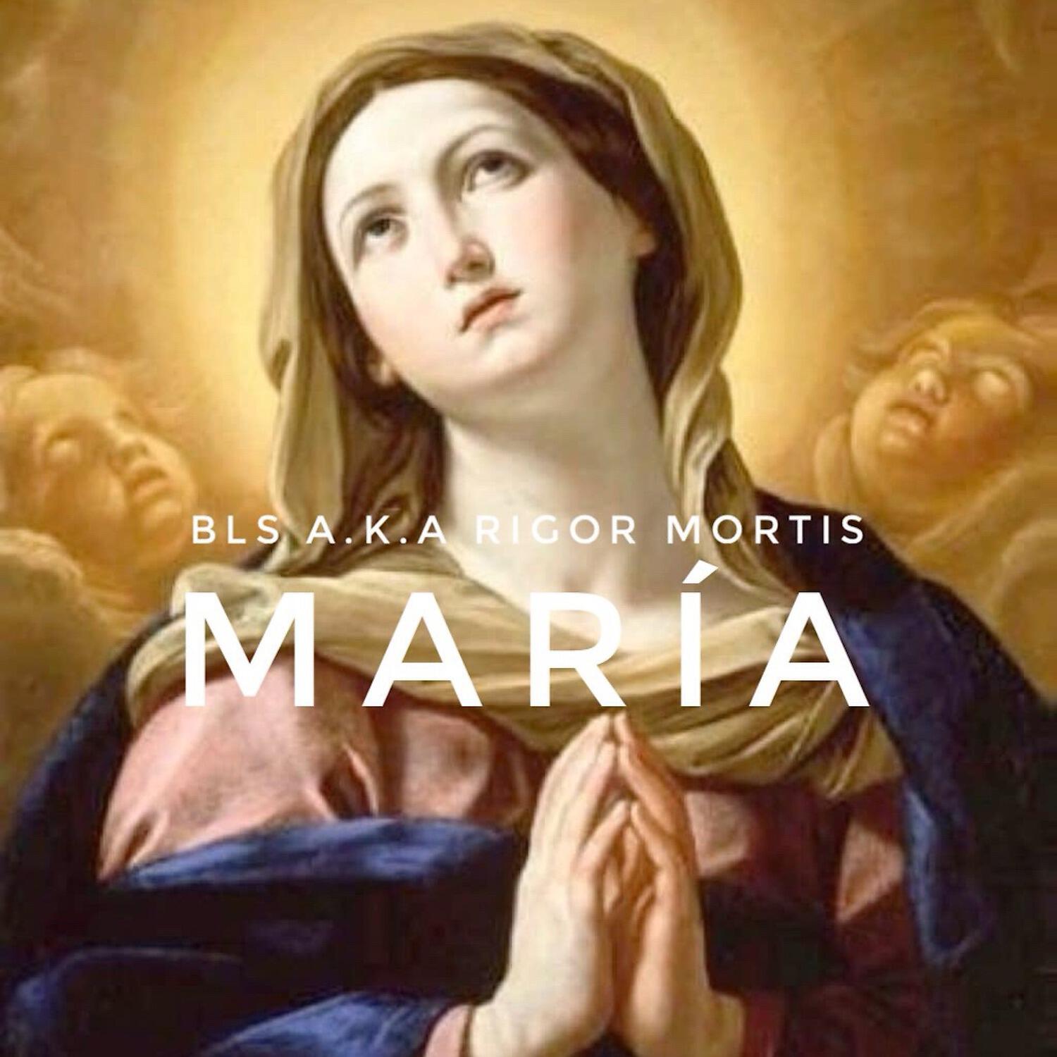Скачать песню Bls a.k.a Rigor Mortis - María бесплатно в MP3 для Android и iOS