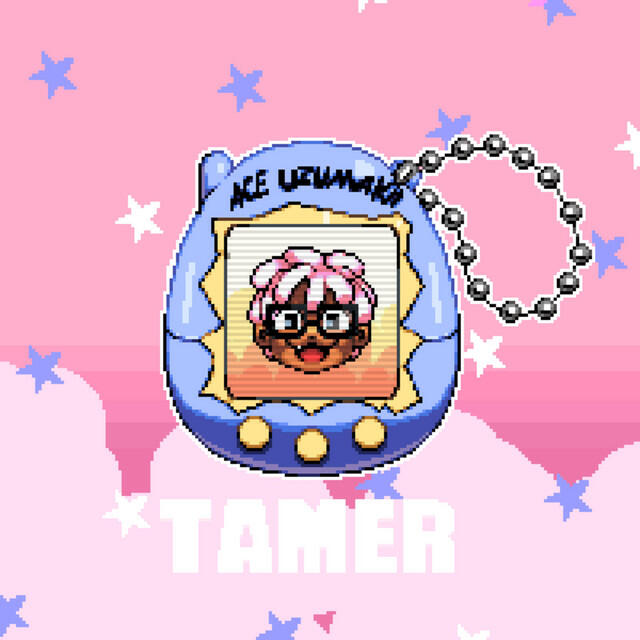 Релиз Tamer