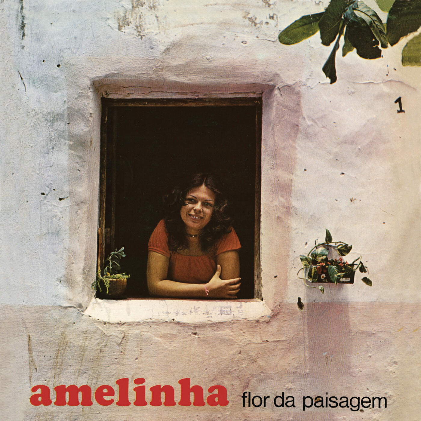 Релиз Flor Da Paisagem