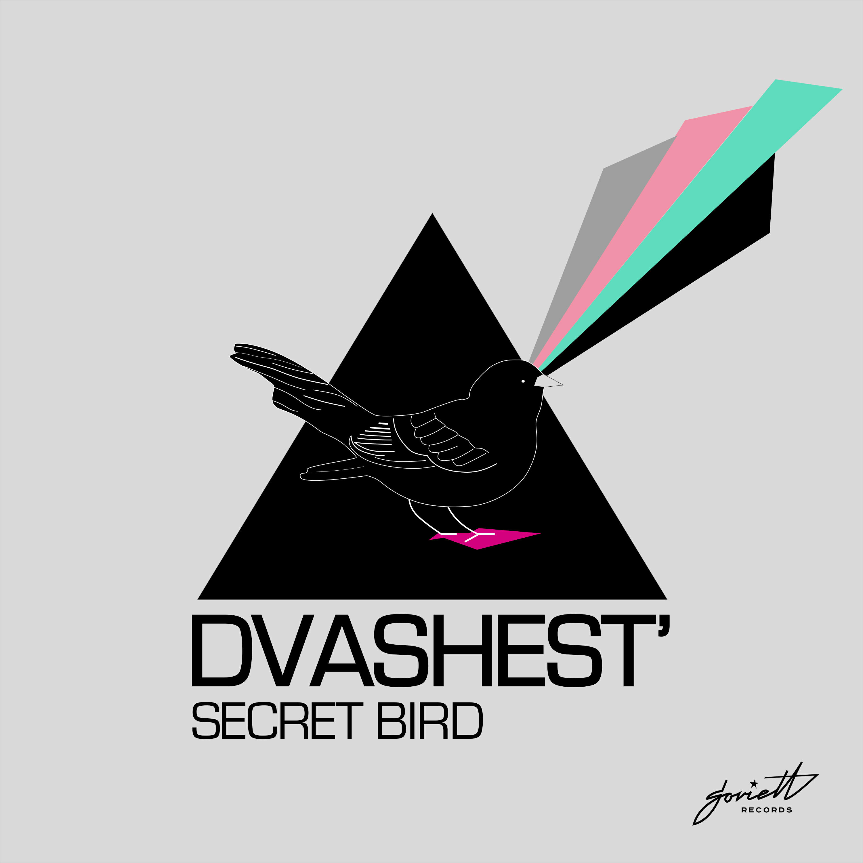 Релиз Secret Bird