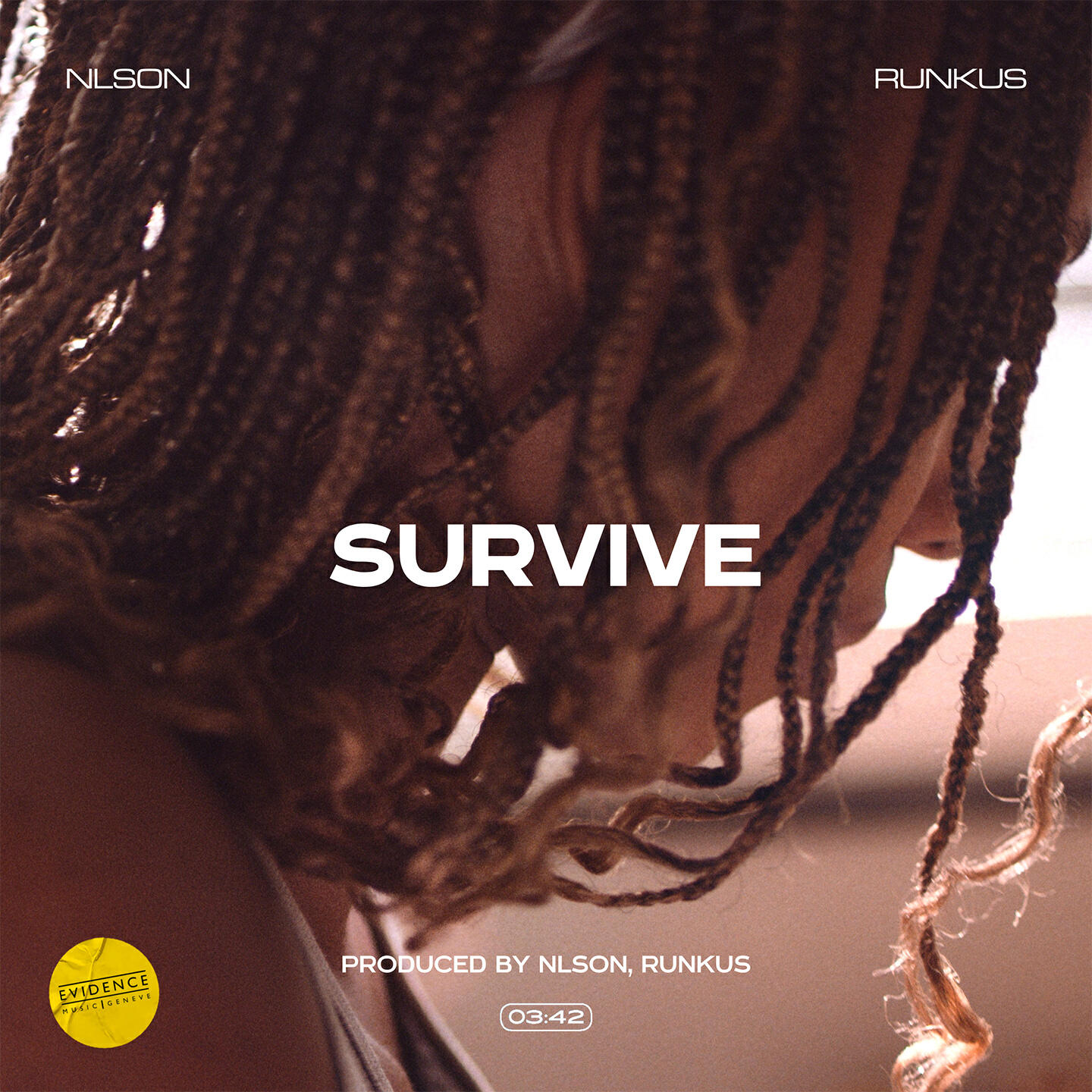 Постер альбома Survive