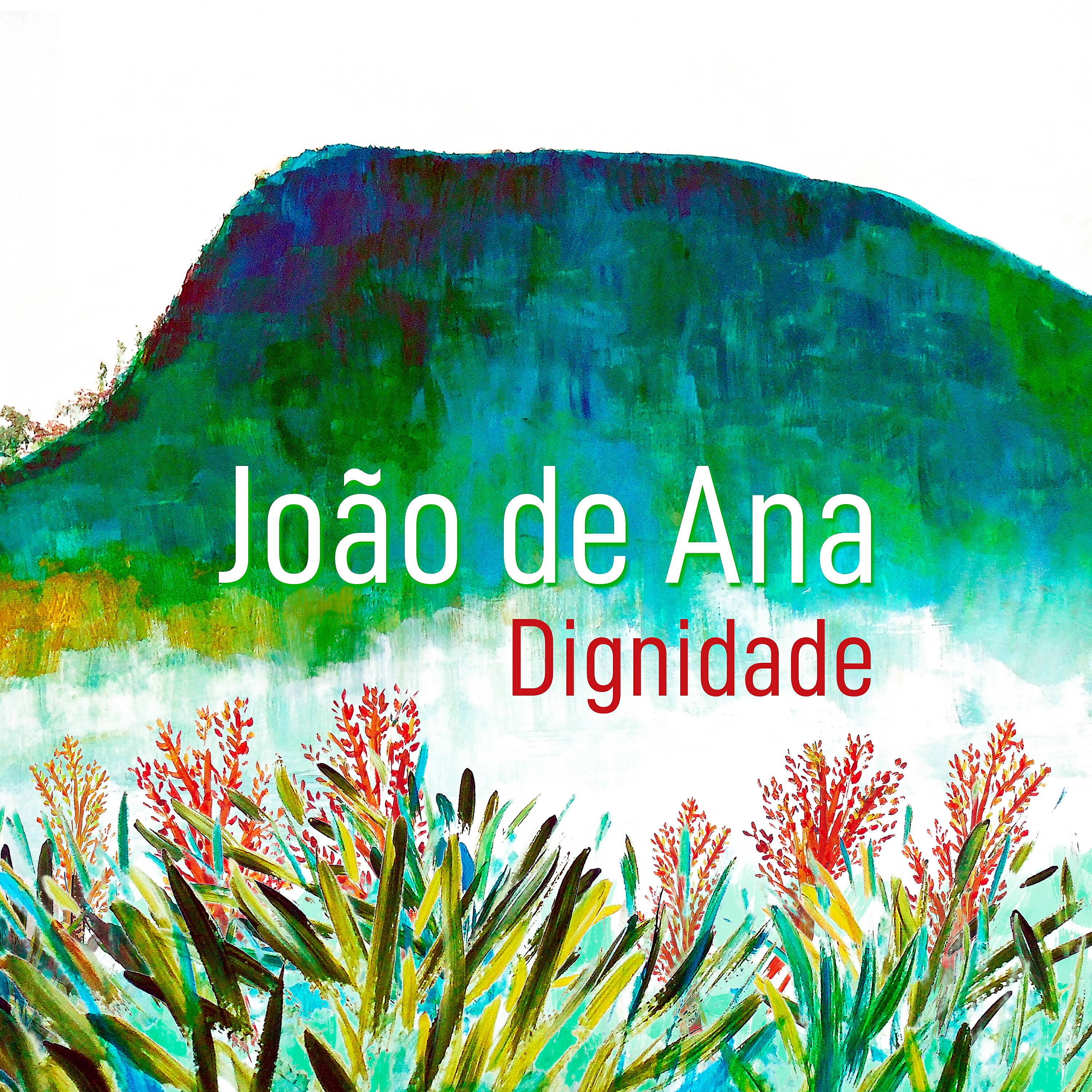 João de Ana